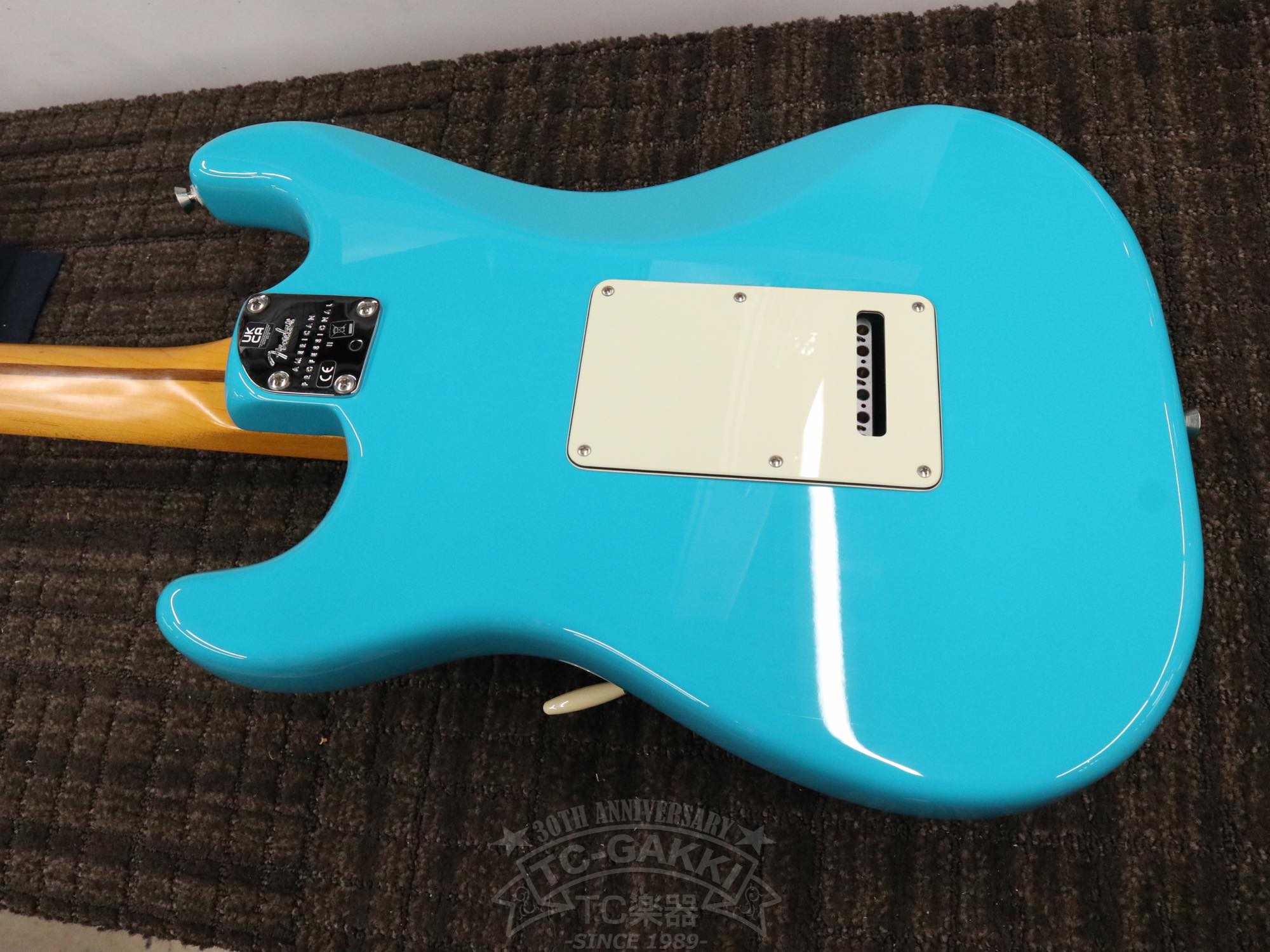 Fender USA American Professional II Stratocaster