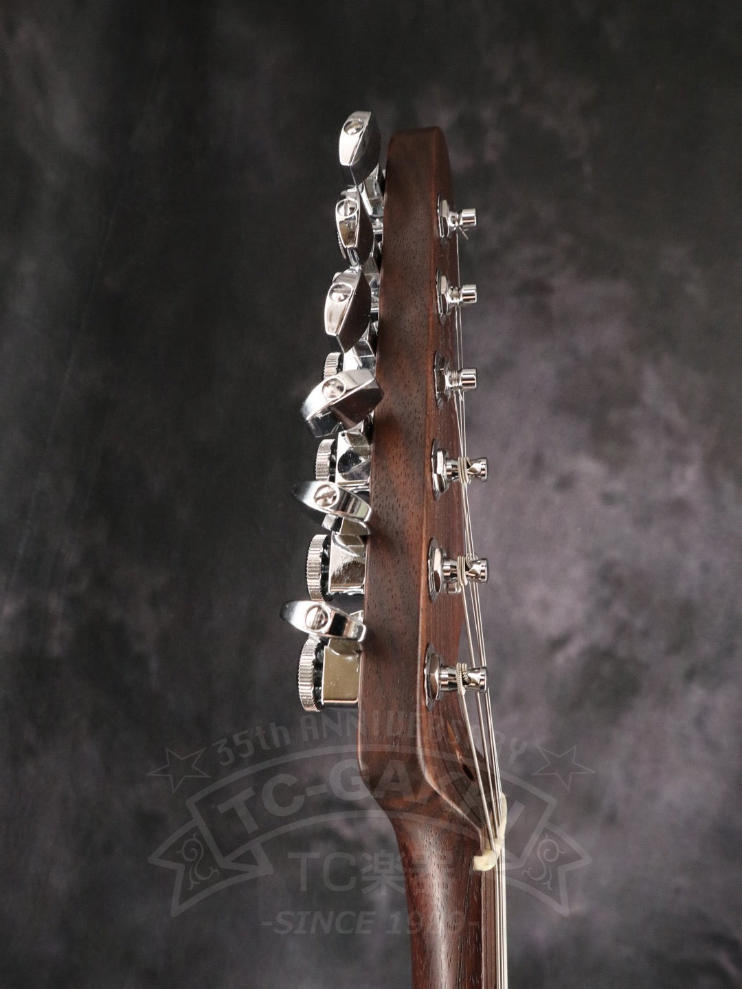 American Professional Jazzmaster Rosewood Neck　Mod.