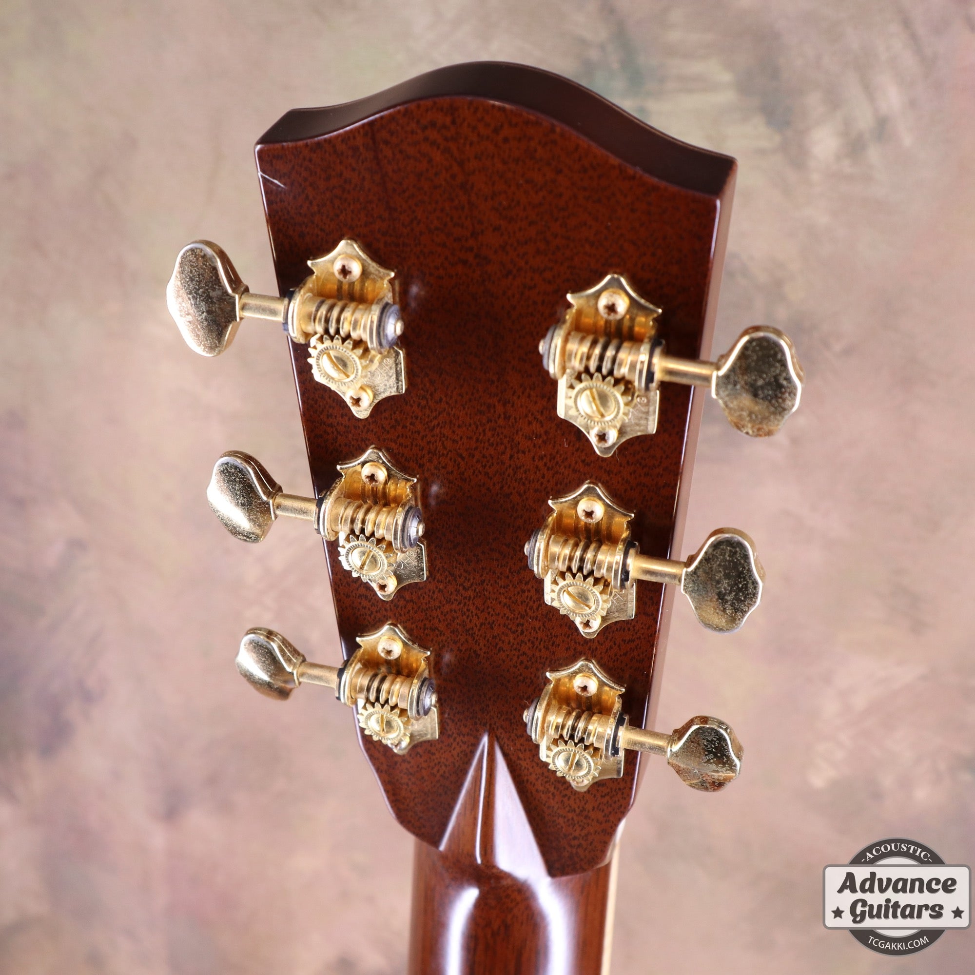 HO-445 2004 Limited Edition