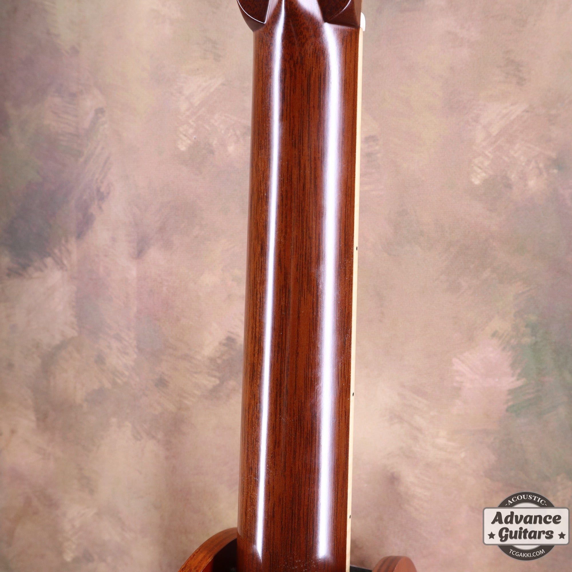 HO-445 2004 Limited Edition