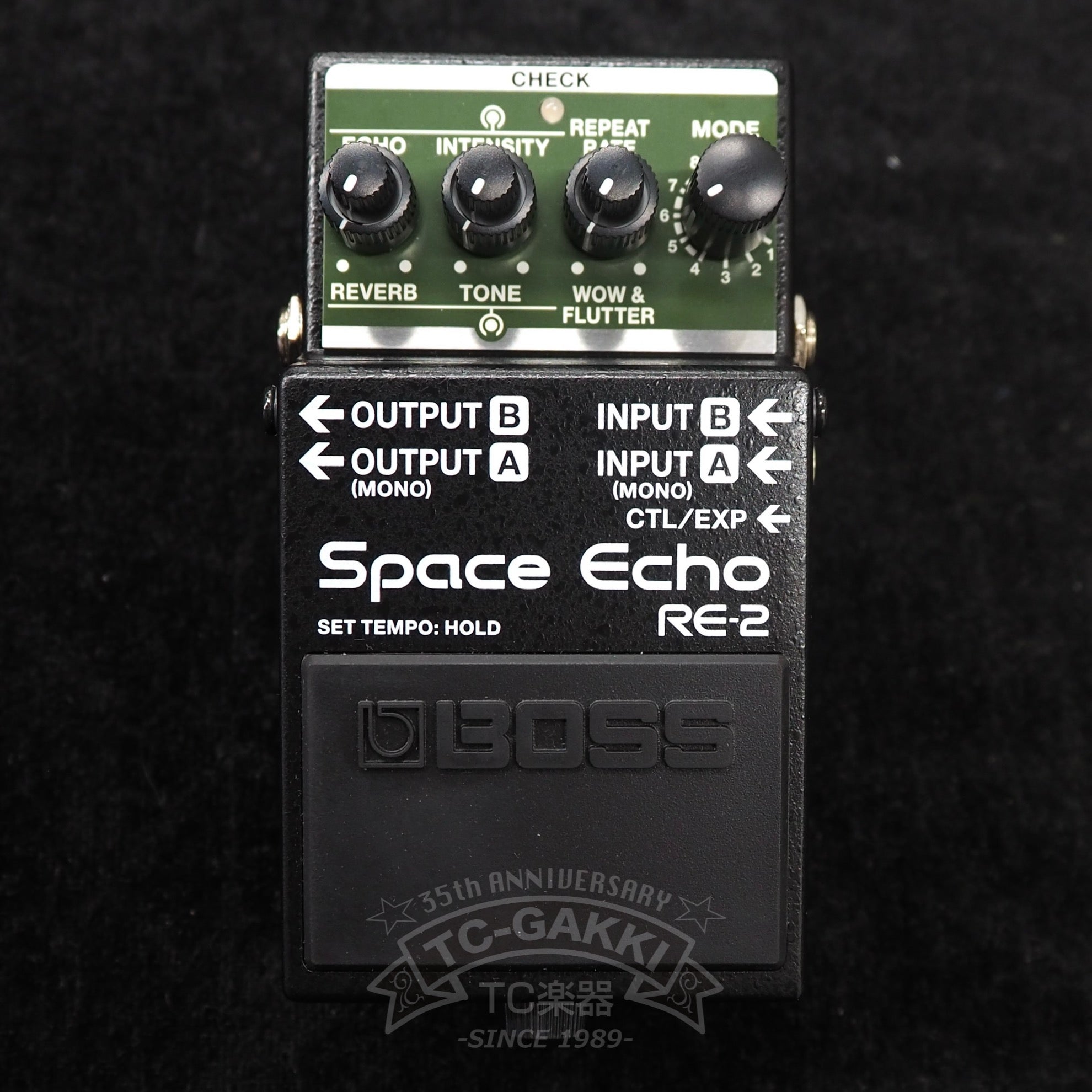 BOSS RE-2 Space Echo