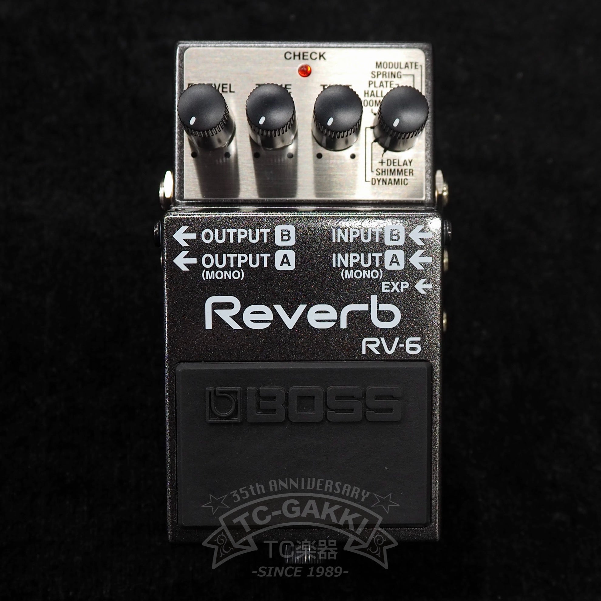 BOSS RV-6 Reverb