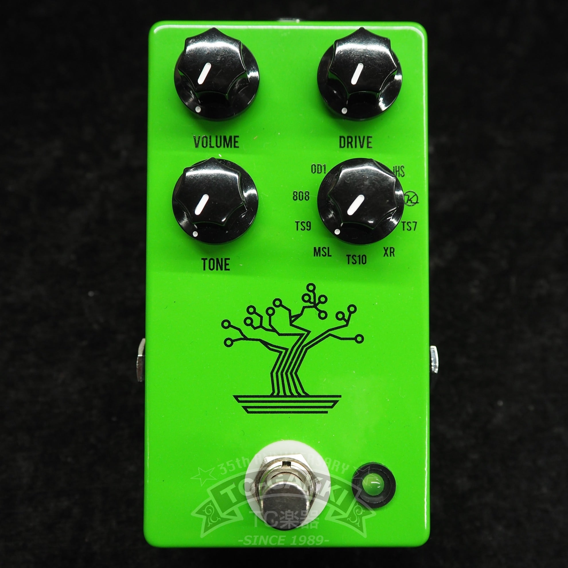 THE BONSAI - TC楽器 - TCGAKKI