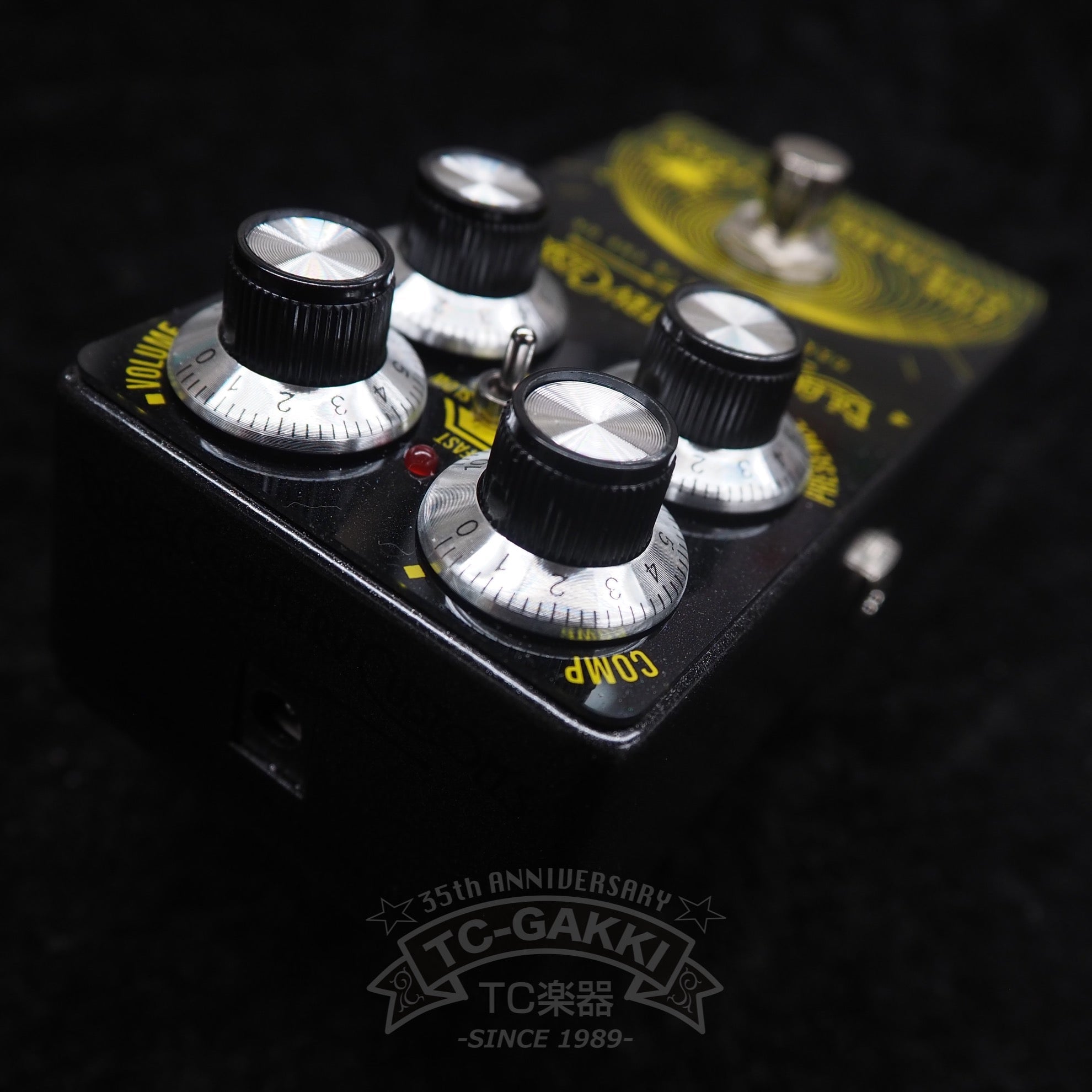 THE CUSTARD FACTORY - TC楽器 - TCGAKKI