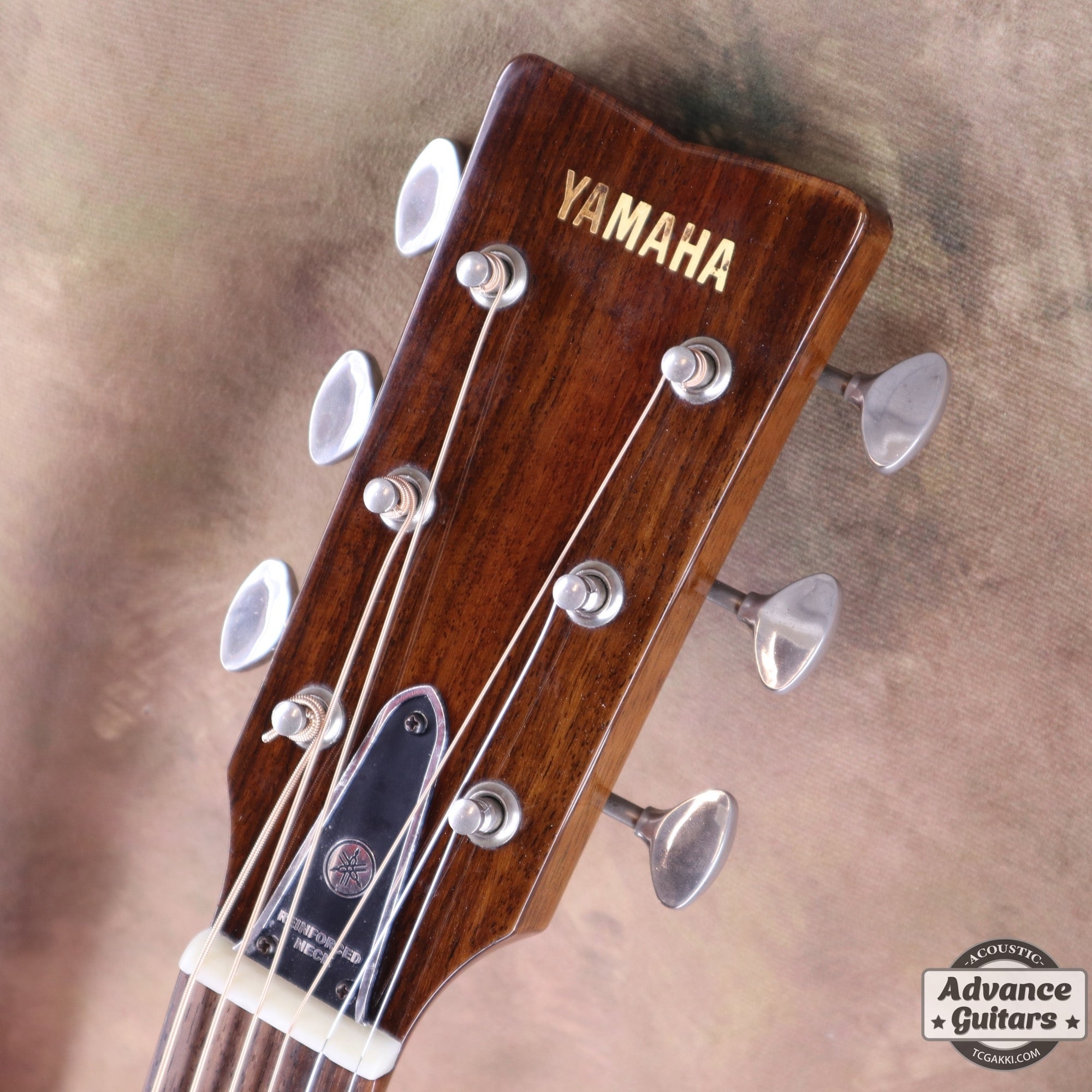 The FS - TC楽器 - TCGAKKI