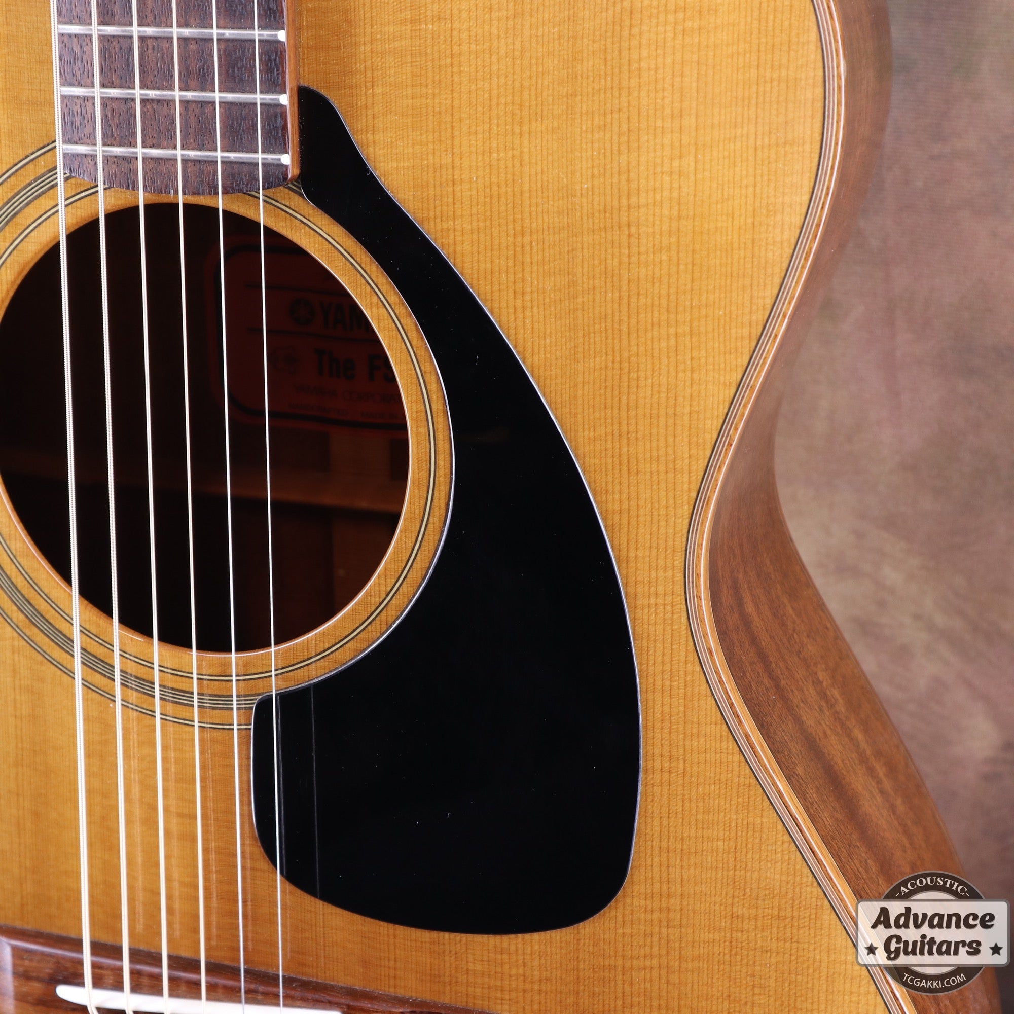 The FS - TC楽器 - TCGAKKI