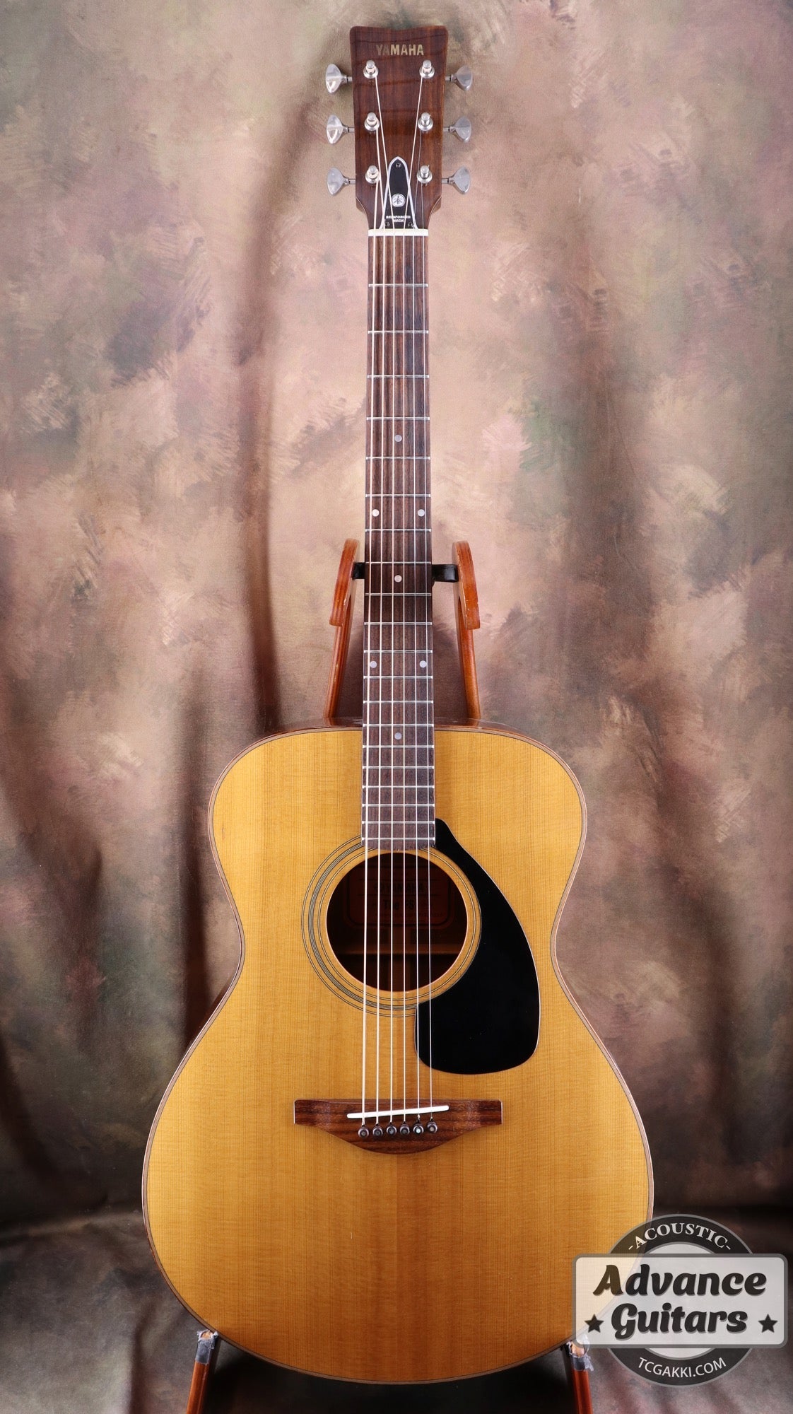 The FS - TC楽器 - TCGAKKI