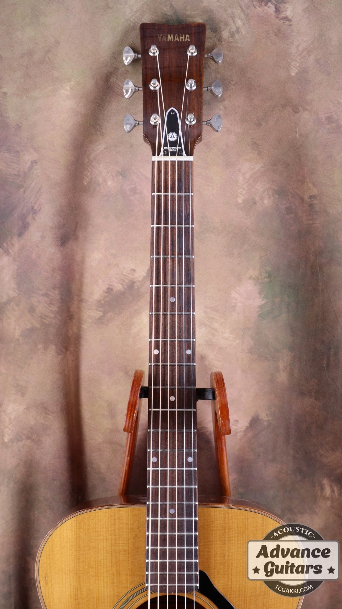 The FS - TC楽器 - TCGAKKI