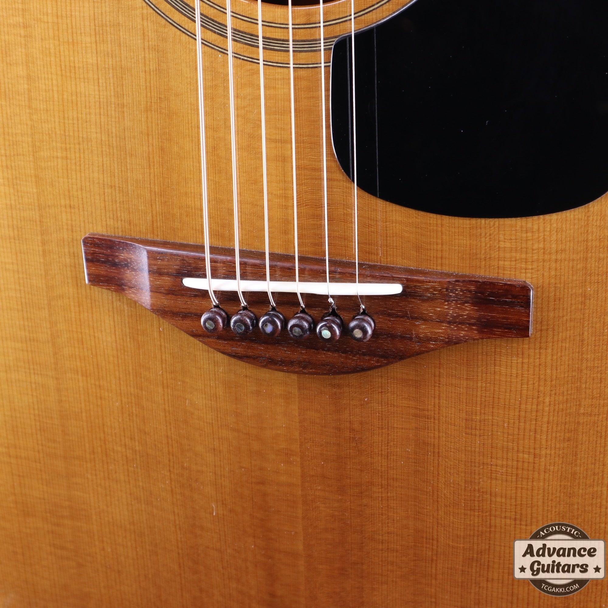 The FS - TC楽器 - TCGAKKI