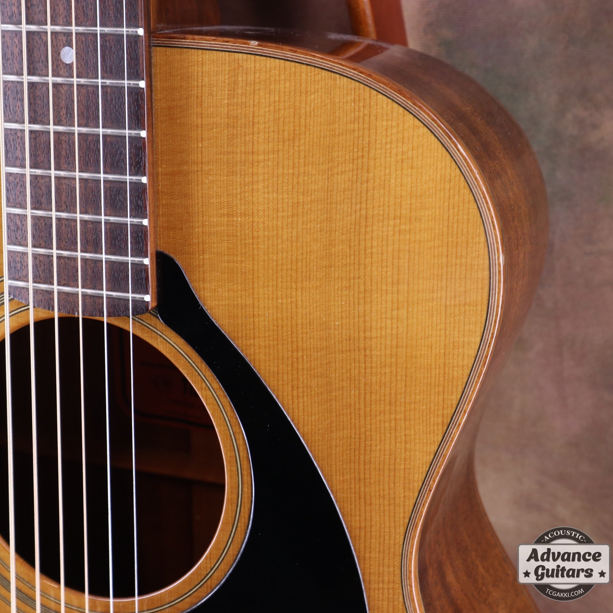 The FS - TC楽器 - TCGAKKI