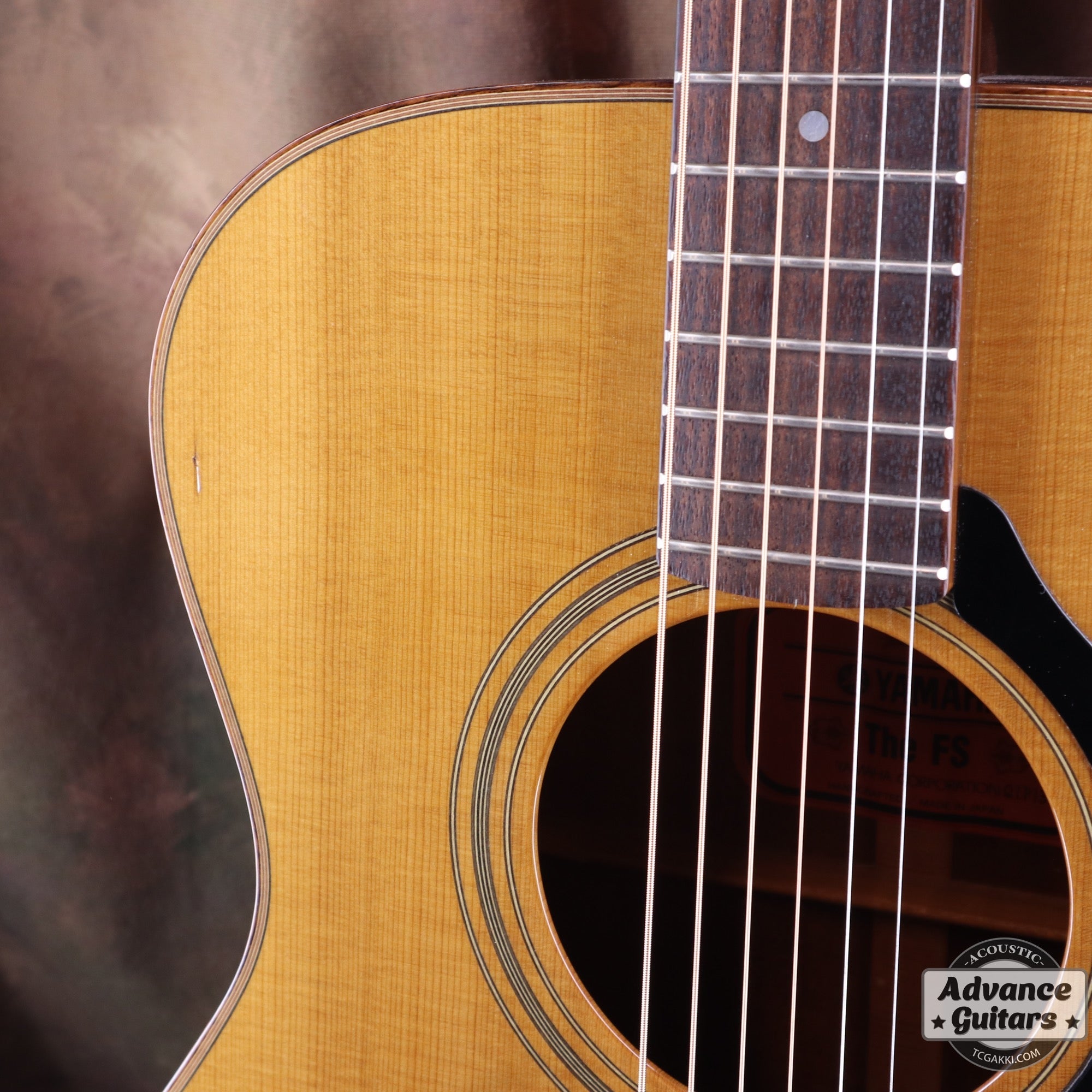 The FS - TC楽器 - TCGAKKI