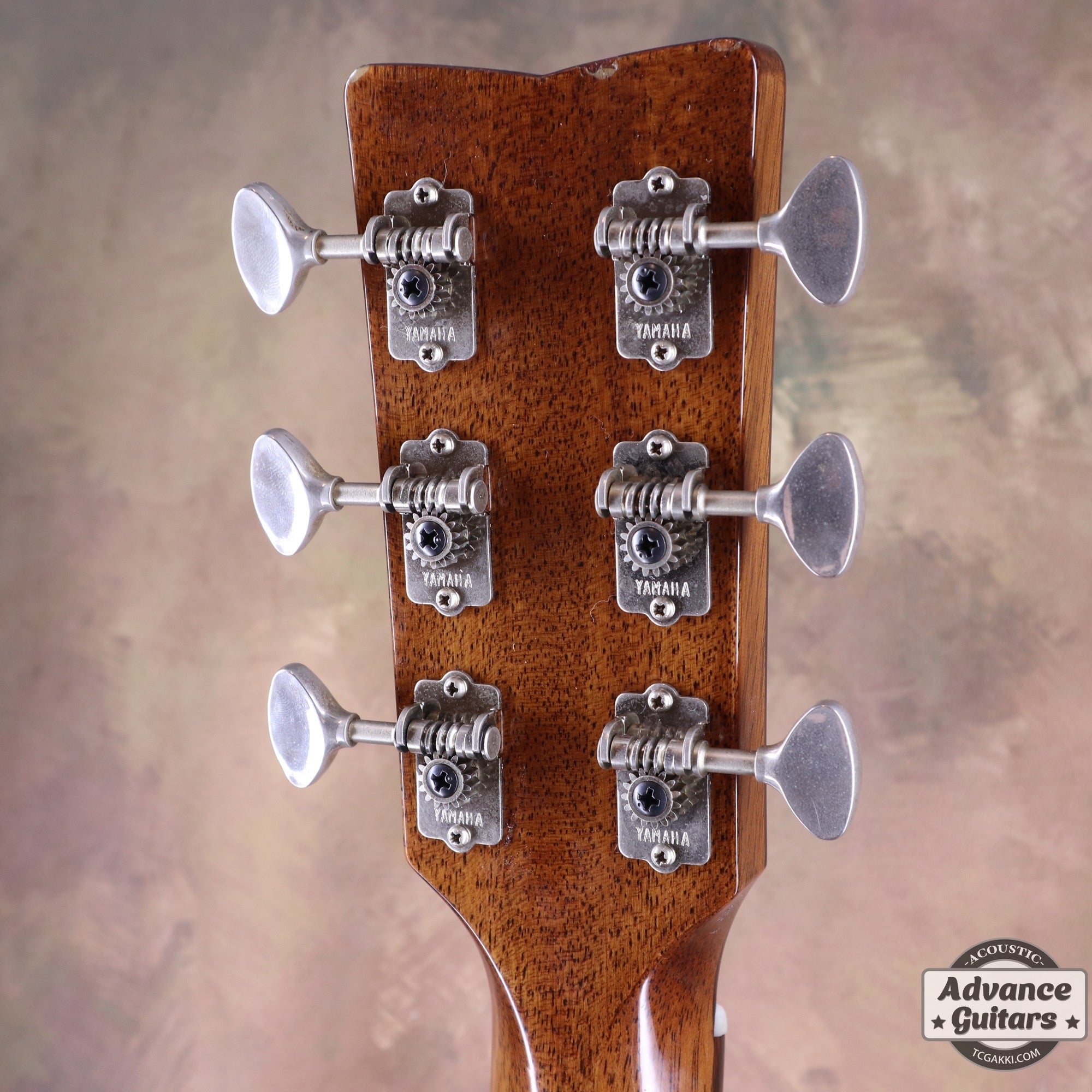 The FS - TC楽器 - TCGAKKI