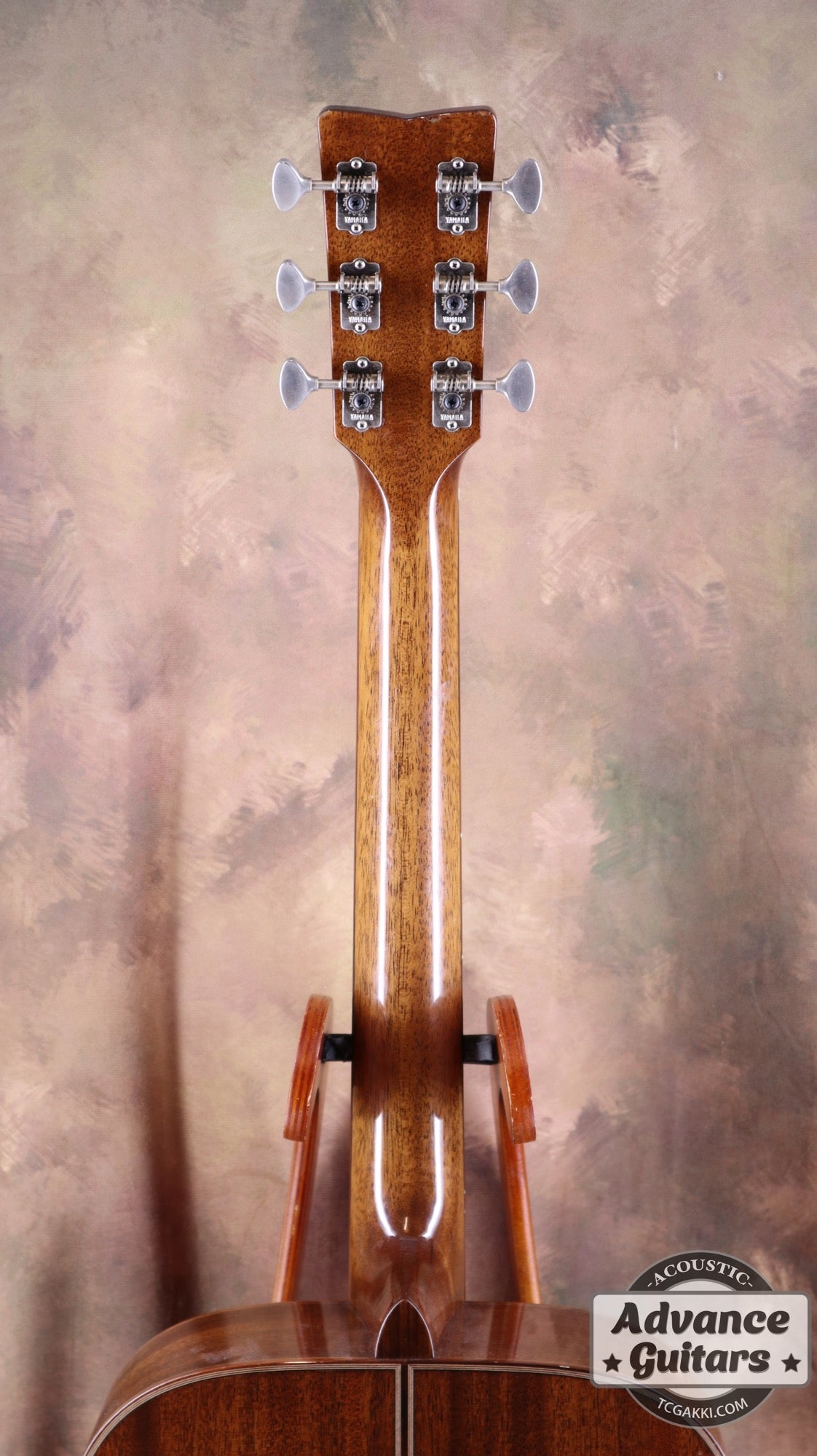 The FS - TC楽器 - TCGAKKI