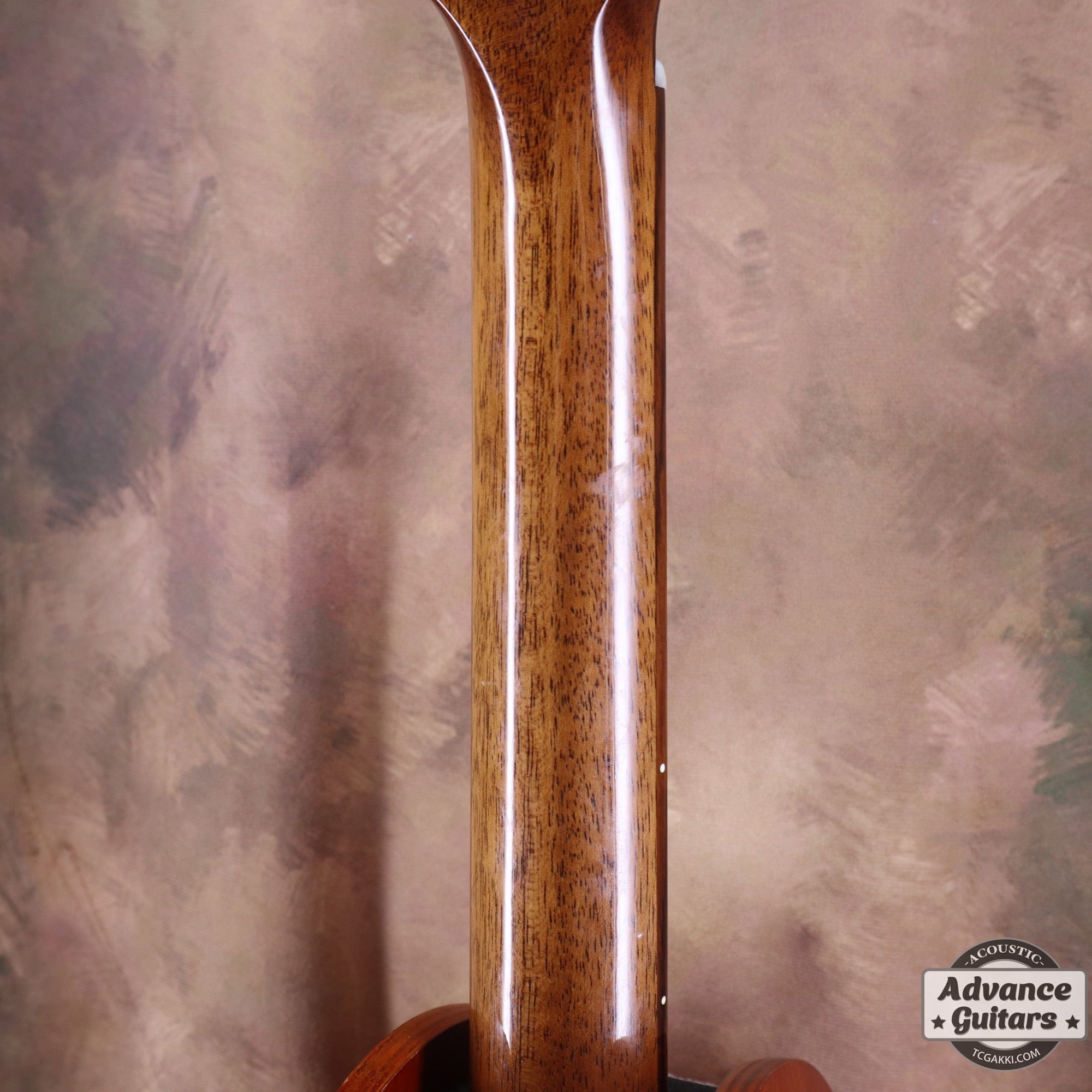 The FS - TC楽器 - TCGAKKI