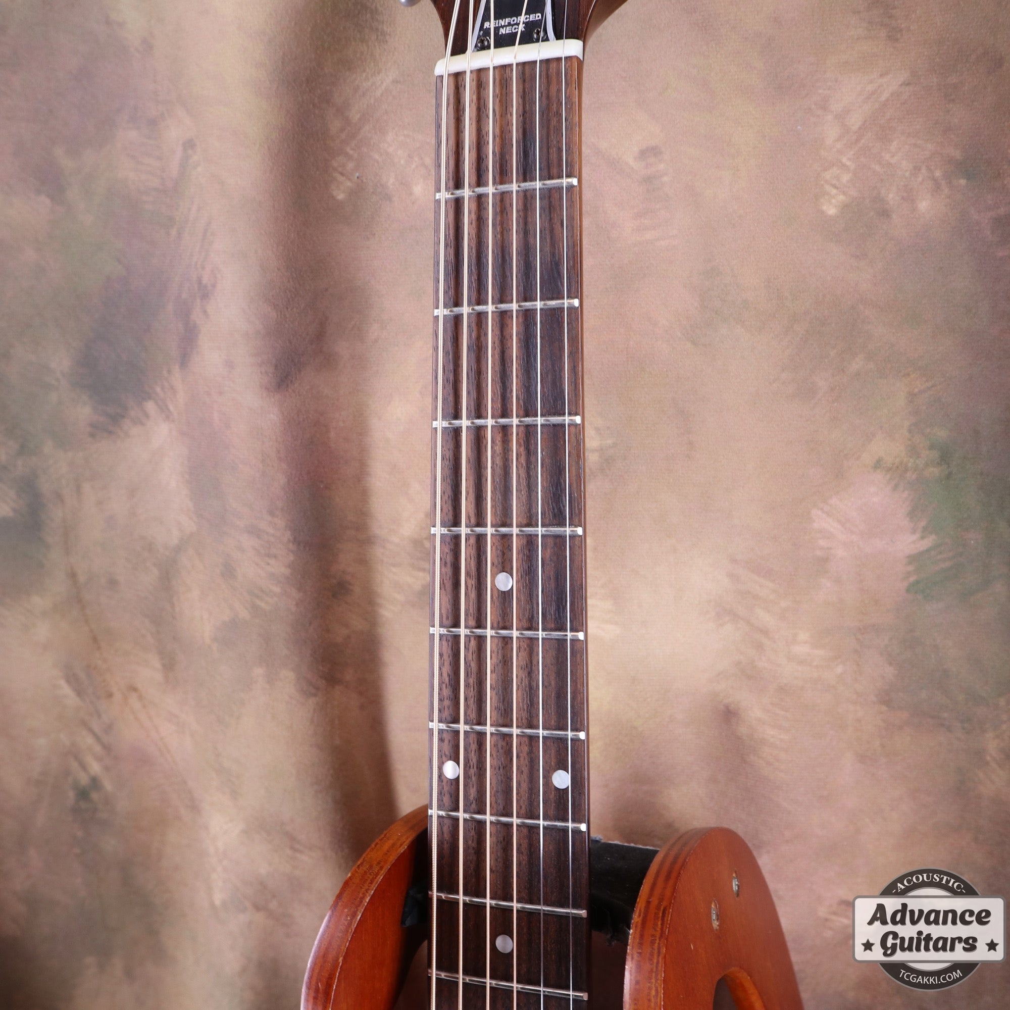 The FS - TC楽器 - TCGAKKI