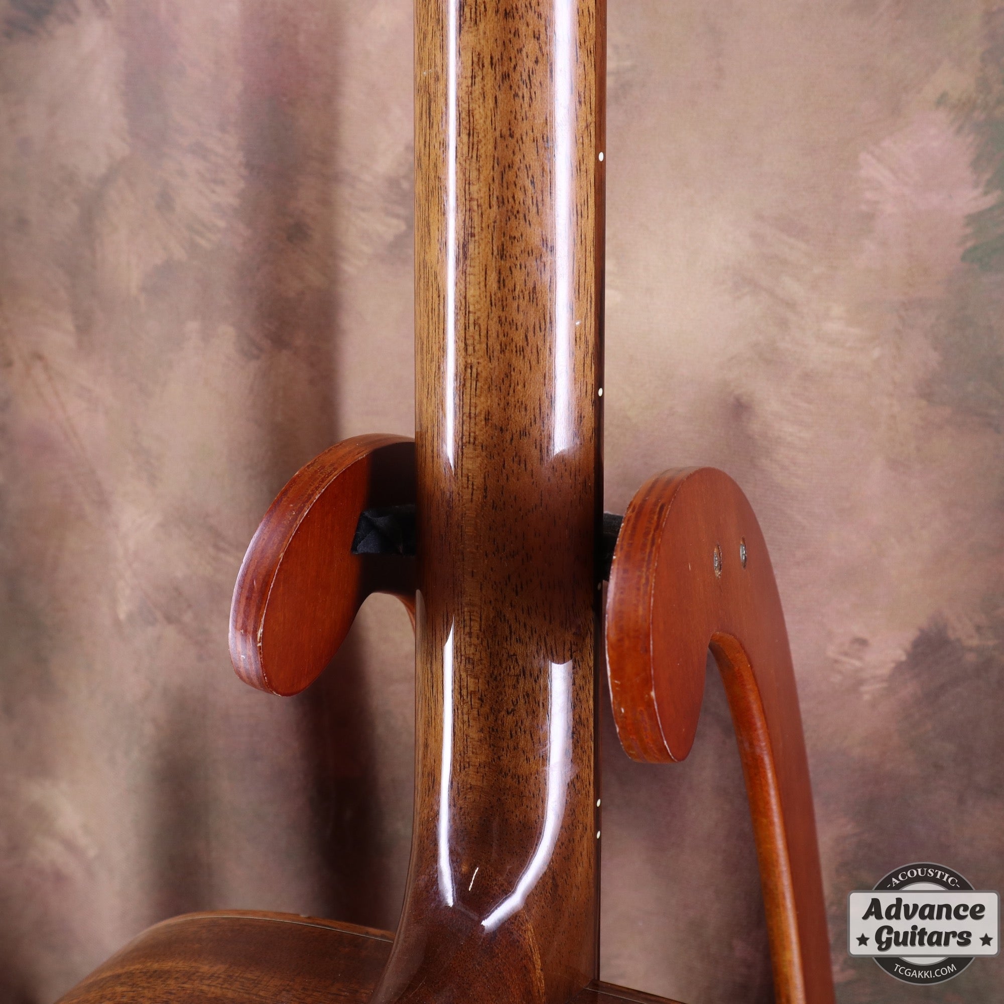 The FS - TC楽器 - TCGAKKI