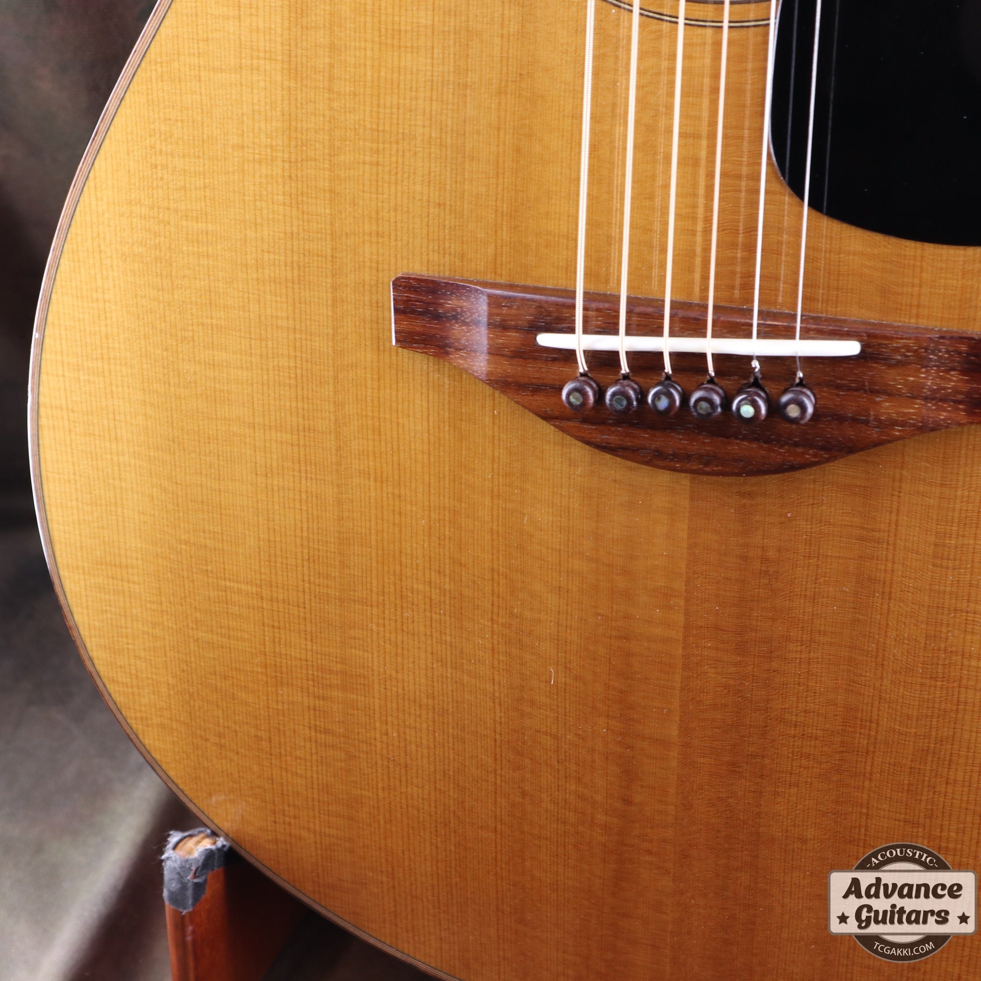 The FS - TC楽器 - TCGAKKI