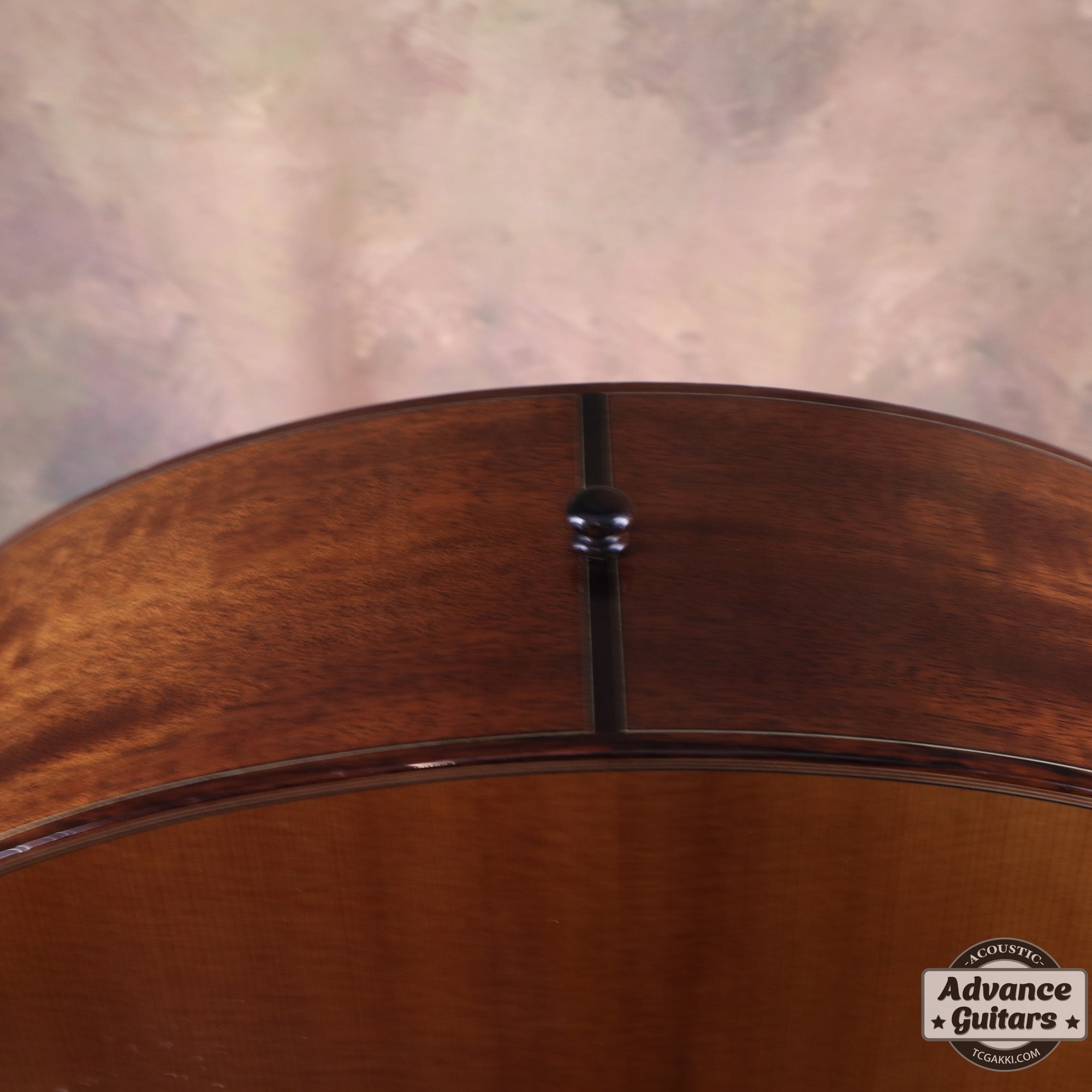 The FS - TC楽器 - TCGAKKI