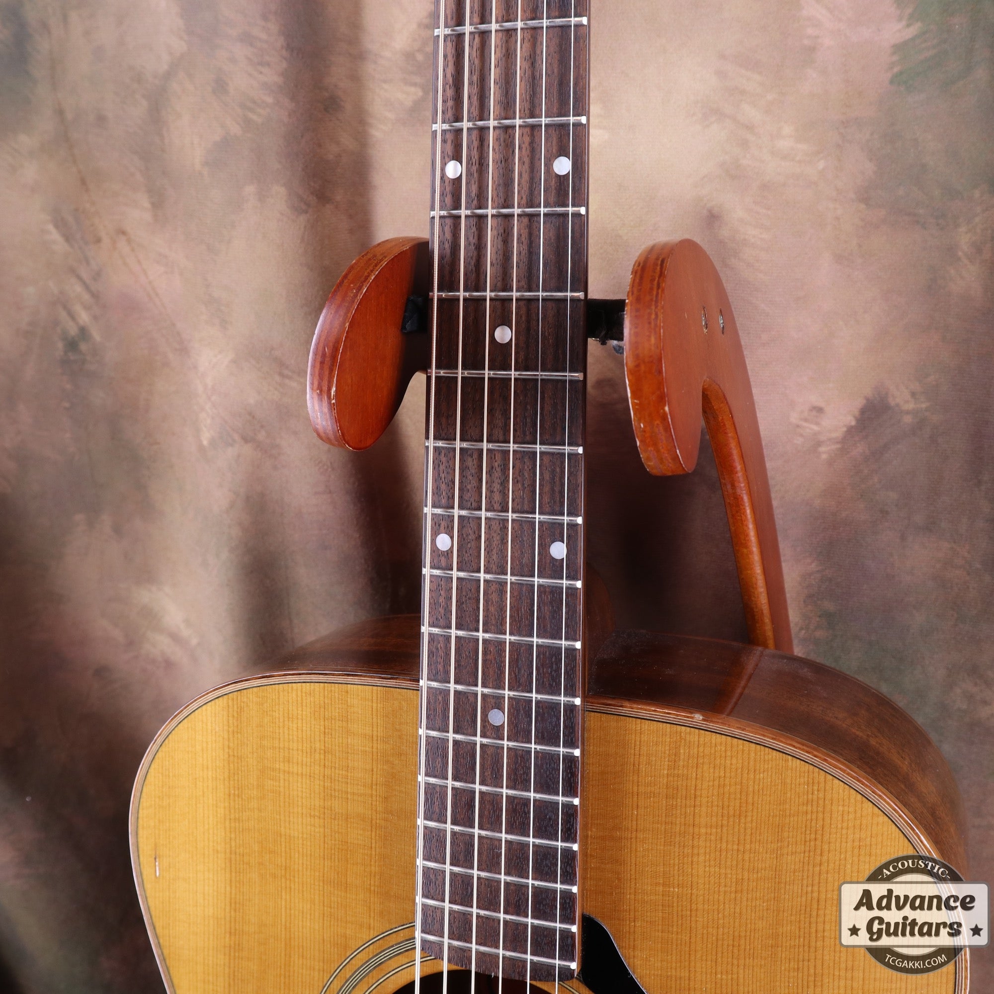 The FS - TC楽器 - TCGAKKI