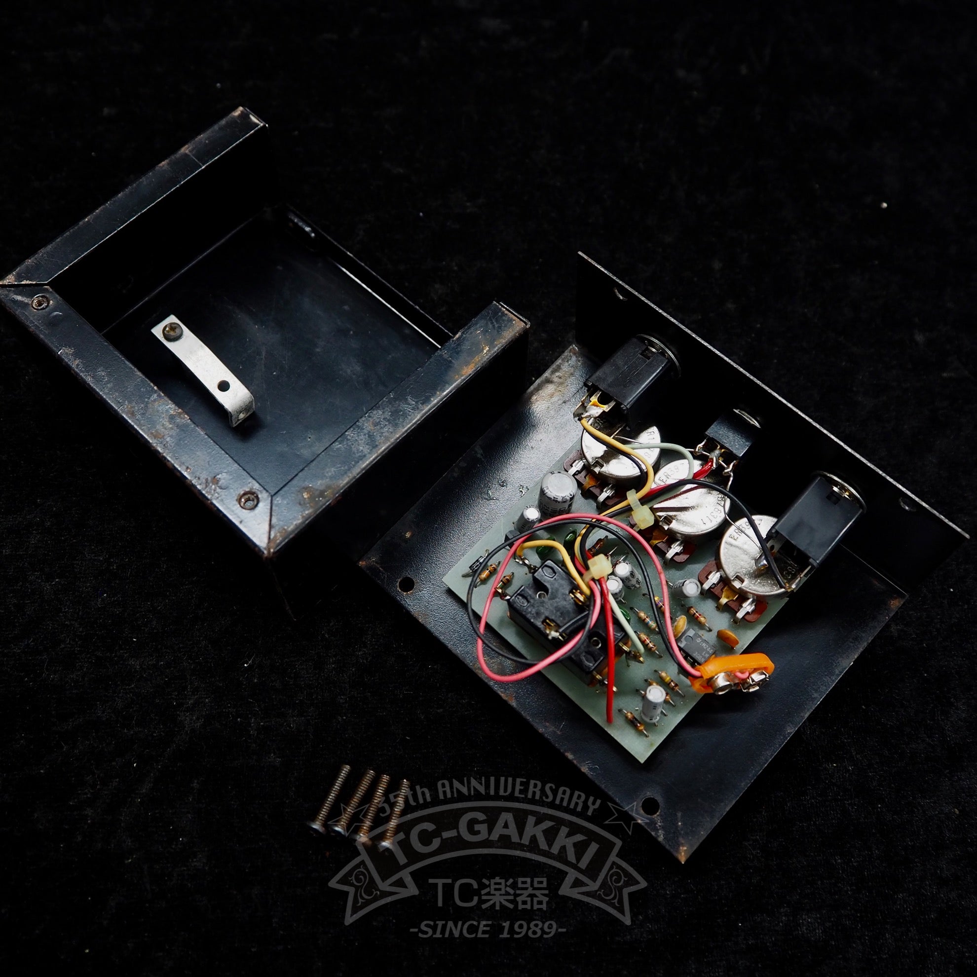 The Rat w/FILTER “Large Case” - TC楽器 - TCGAKKI