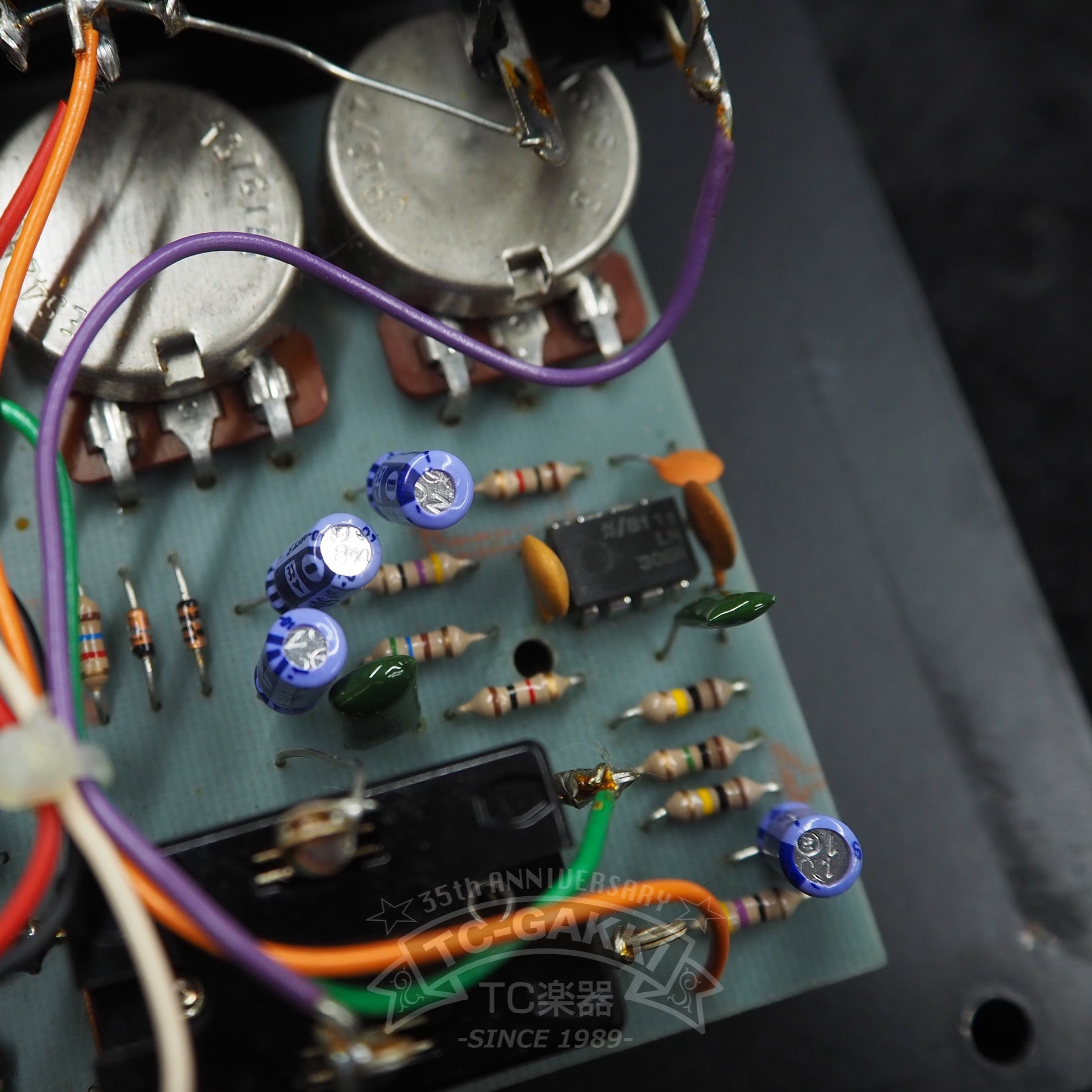 The Rat w/TONE “Large Case” - TC楽器 - TCGAKKI