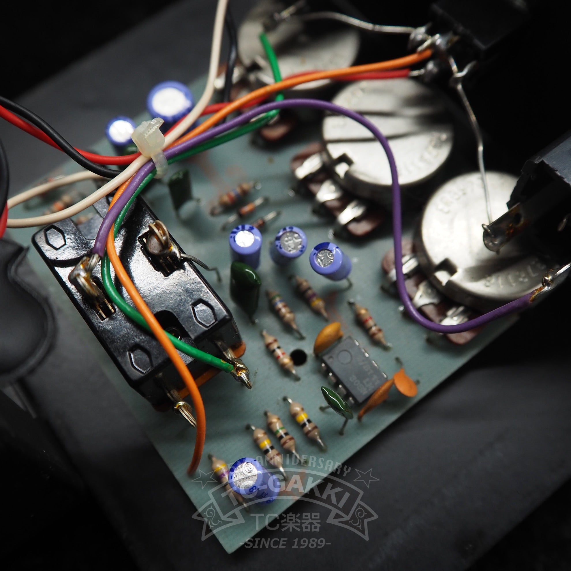 The Rat w/TONE “Large Case” - TC楽器 - TCGAKKI