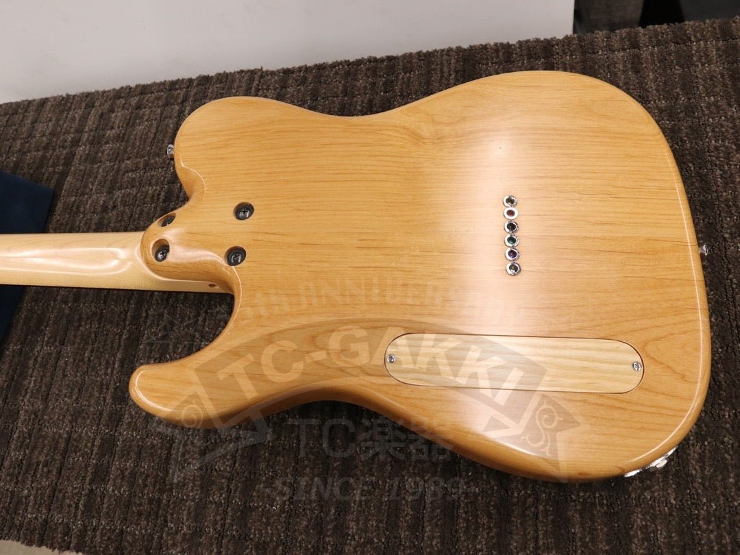 TL Thinline Type - TC楽器 - TCGAKKI