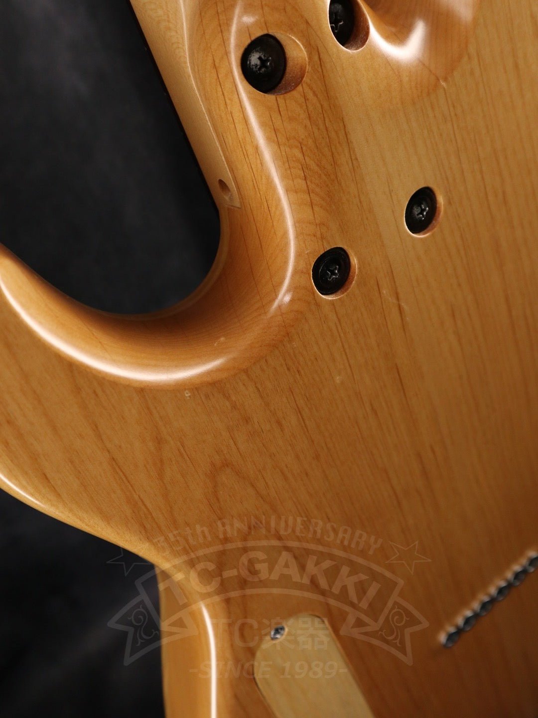 TL Thinline Type - TC楽器 - TCGAKKI