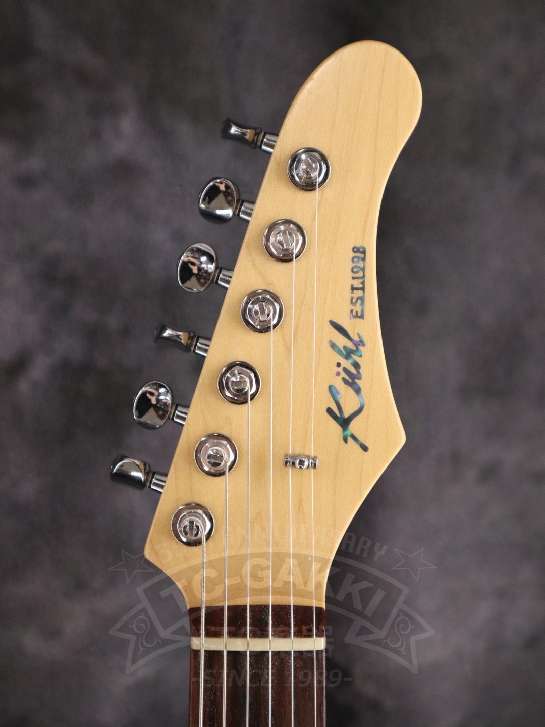 TL Thinline Type - TC楽器 - TCGAKKI
