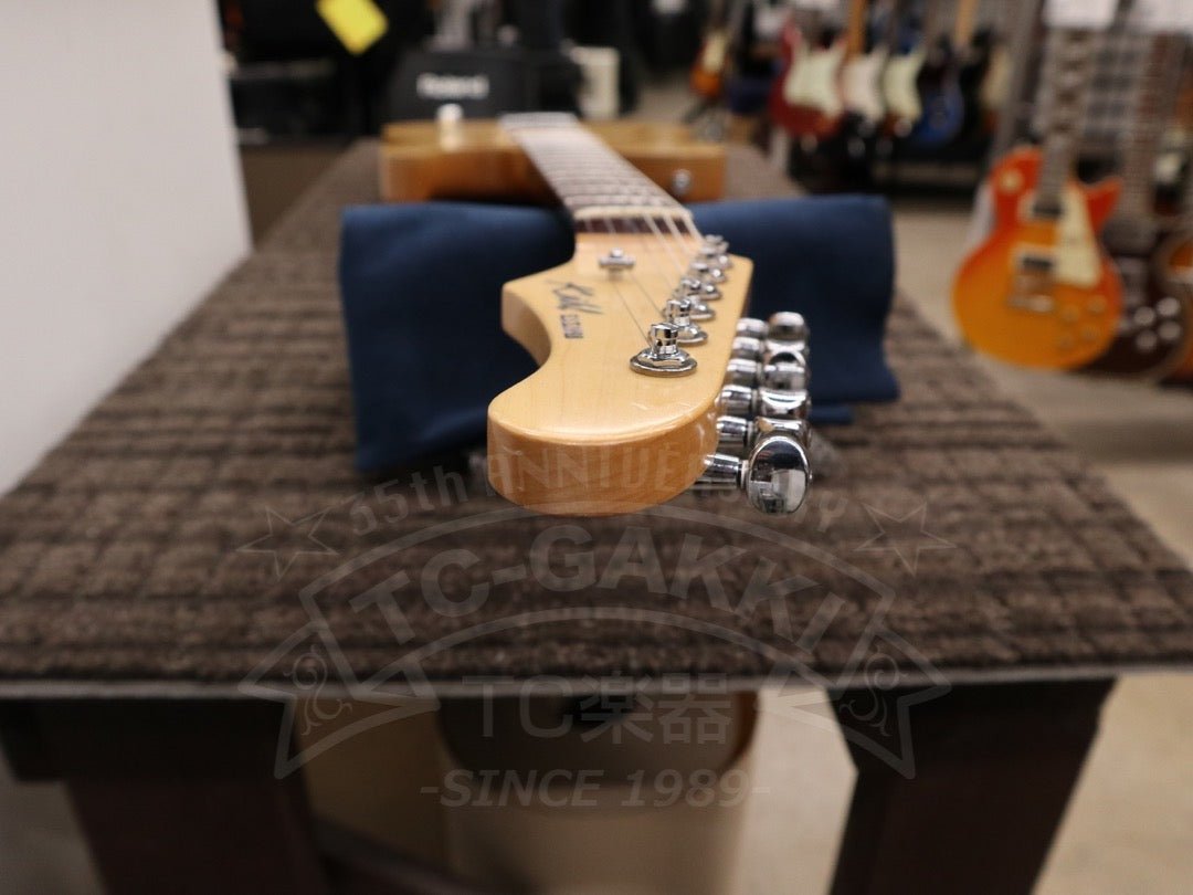 TL Thinline Type - TC楽器 - TCGAKKI