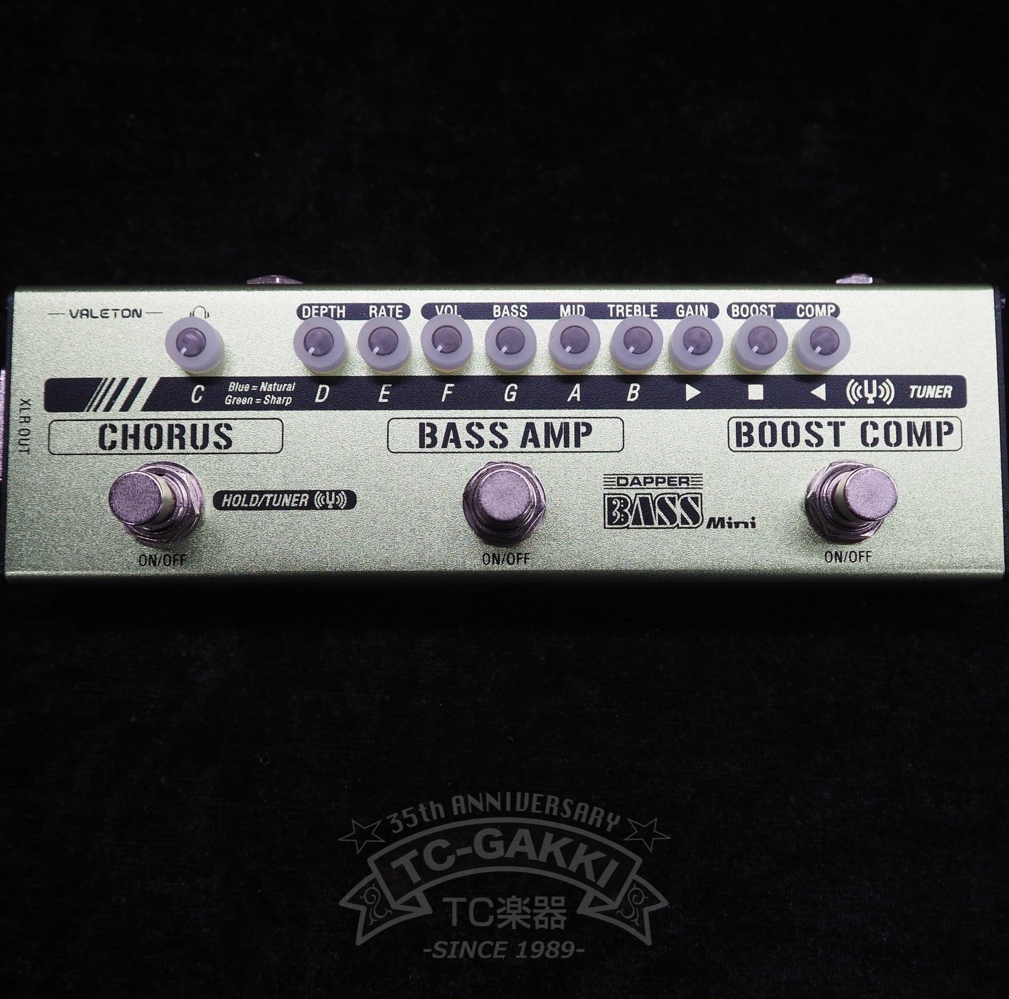 VALETON DAPPER BASS Mini - TC楽器 - TCGAKKI