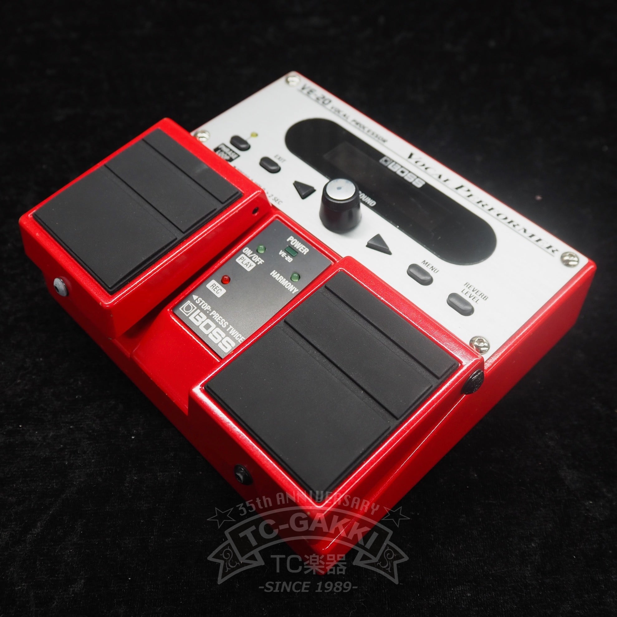 VE-20 VOCAL PERFORMER