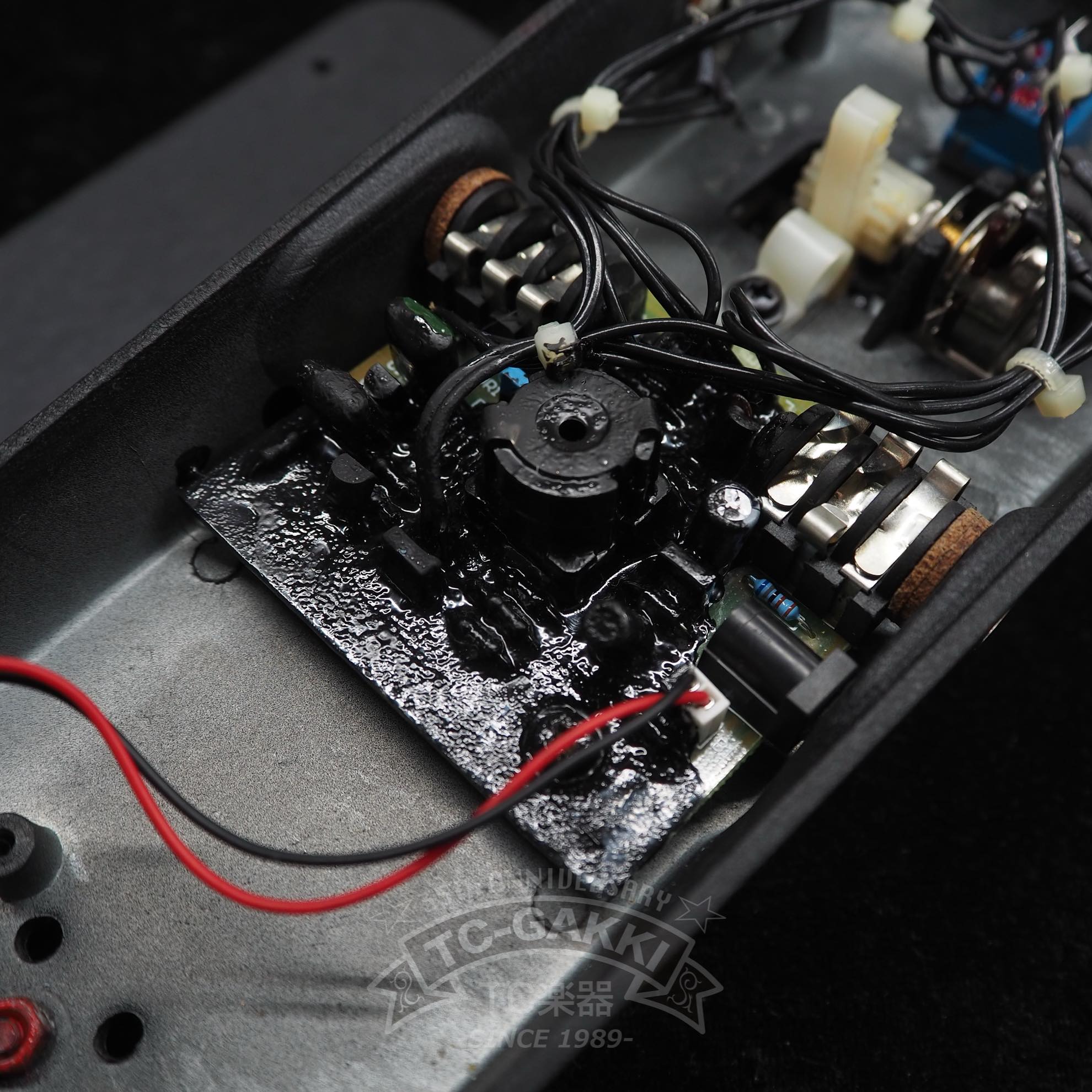 VERTEX Axis Wah - TC楽器 - TCGAKKI