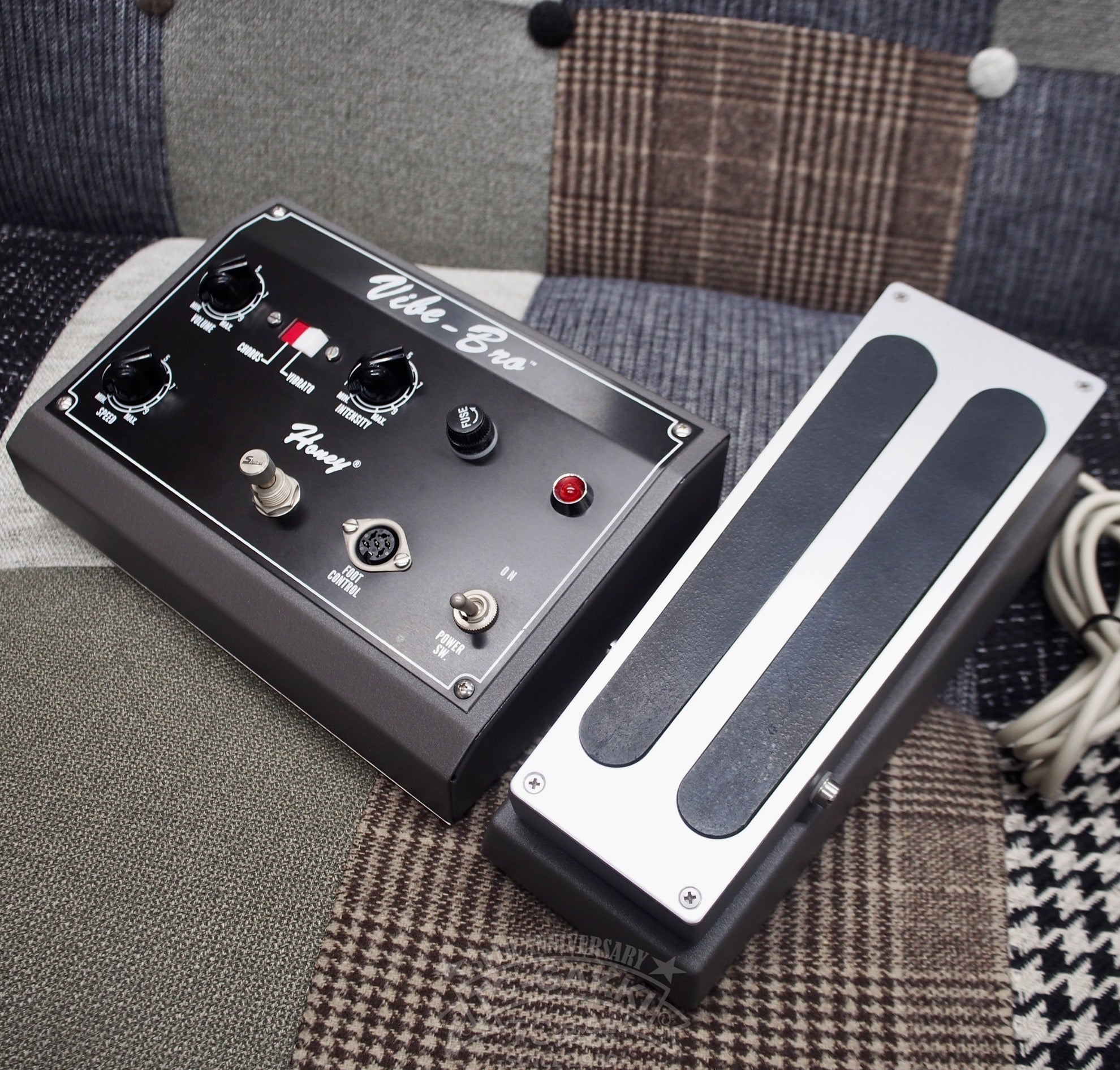 VIBE - BRO CHORUS/VIBRATO w/FOOT PEDAL - TC楽器 - TCGAKKI