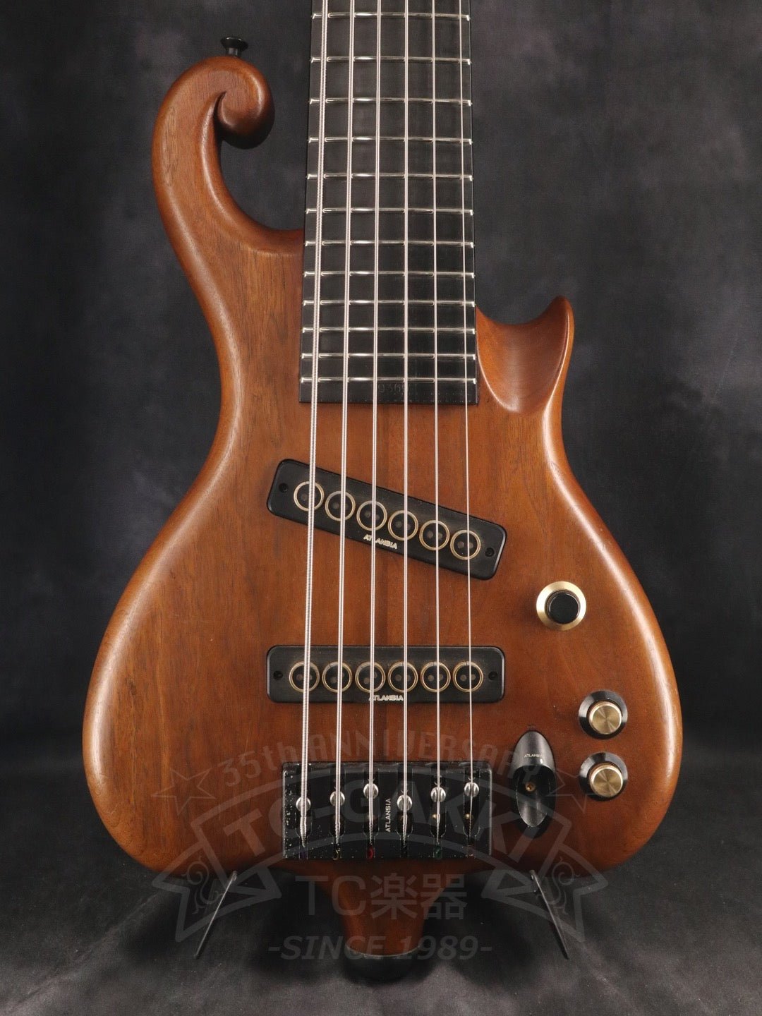 Victoria 6st - TC楽器 - TCGAKKI