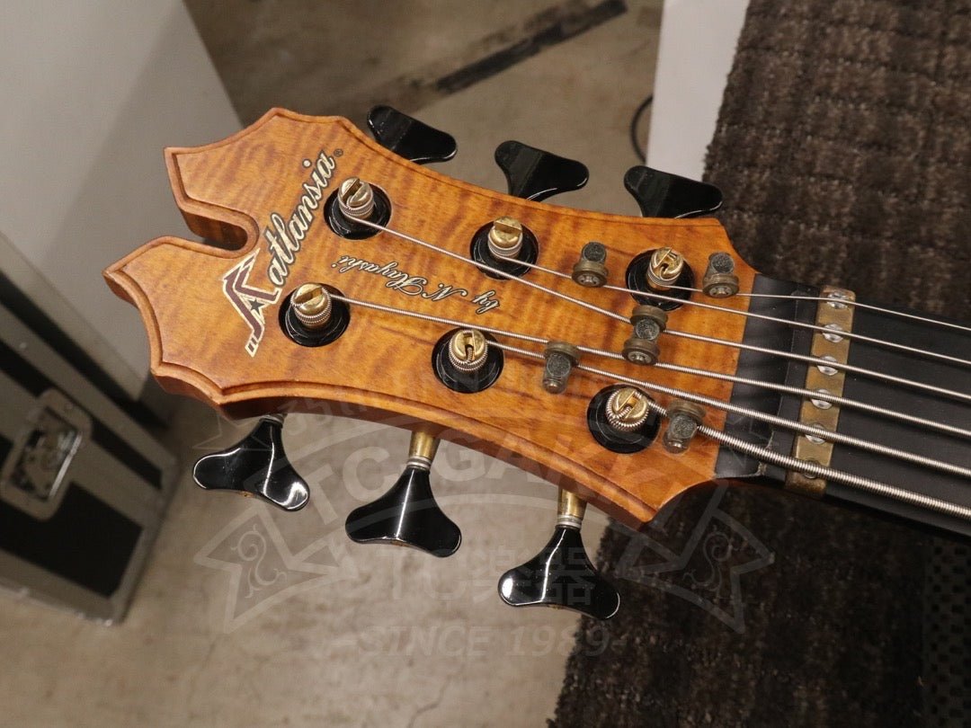 Victoria 6st - TC楽器 - TCGAKKI