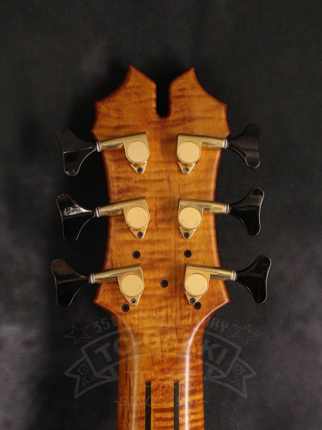 Victoria 6st - TC楽器 - TCGAKKI