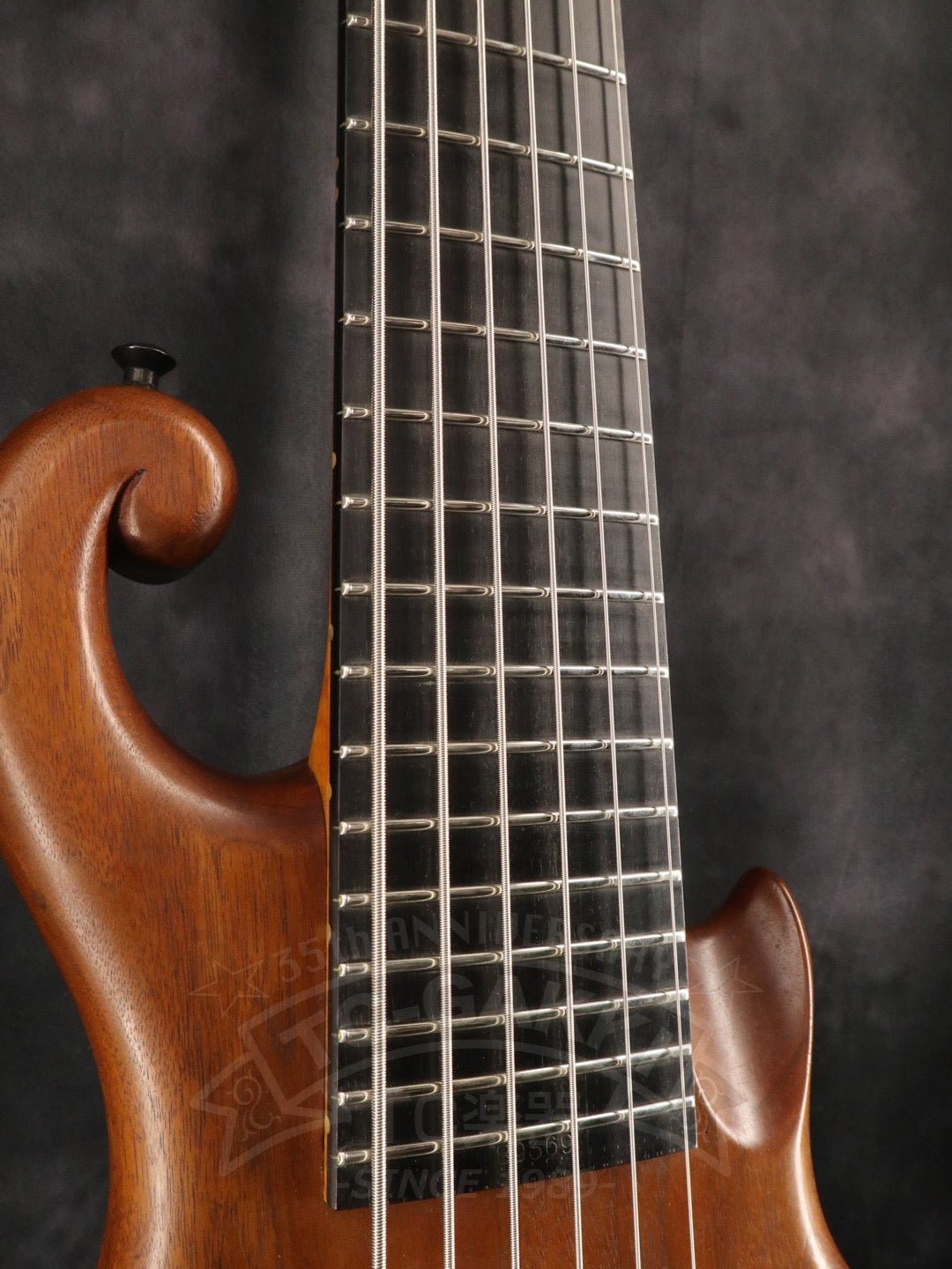 Victoria 6st - TC楽器 - TCGAKKI