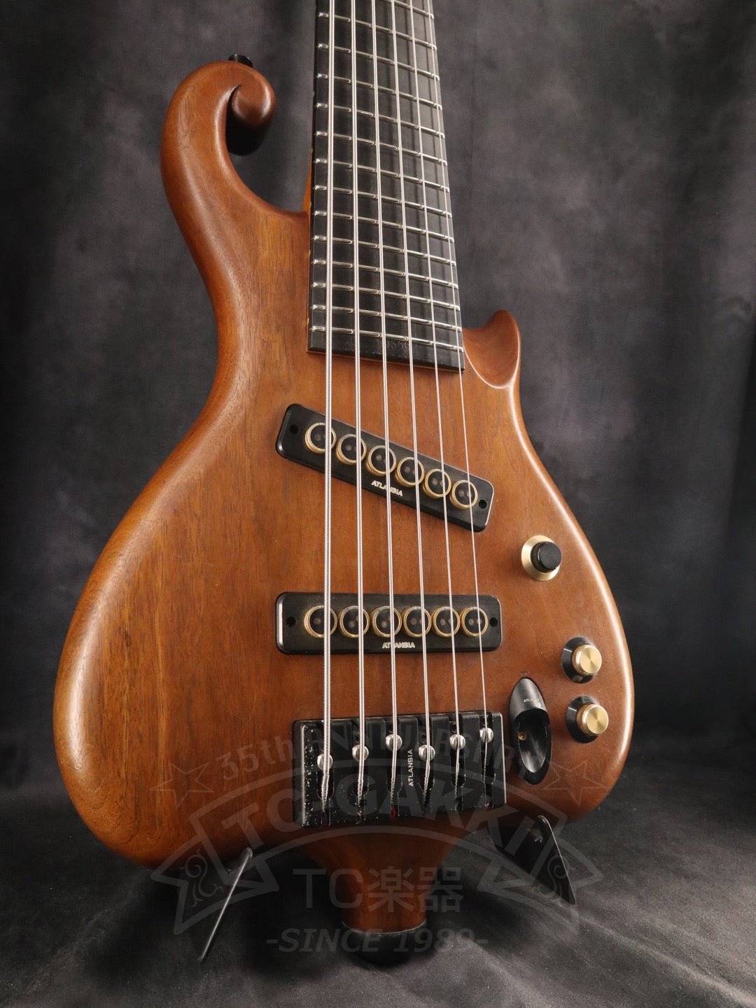 Victoria 6st - TC楽器 - TCGAKKI