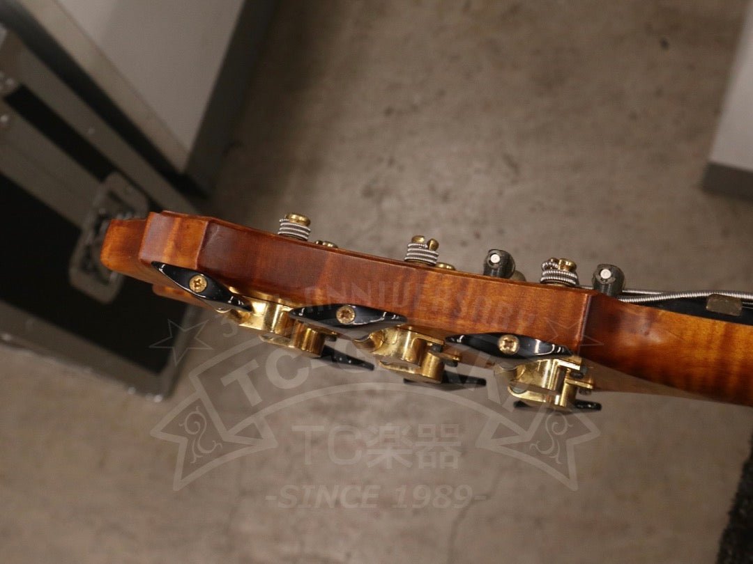 Victoria 6st - TC楽器 - TCGAKKI