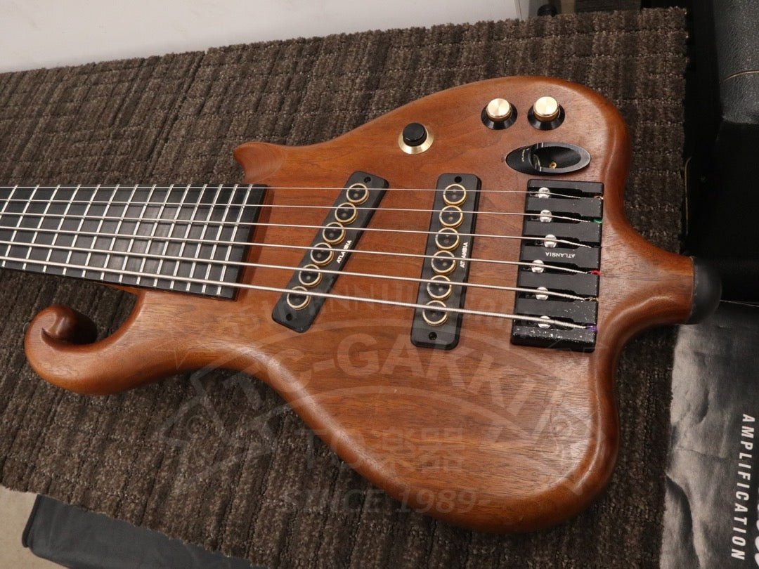 Victoria 6st - TC楽器 - TCGAKKI