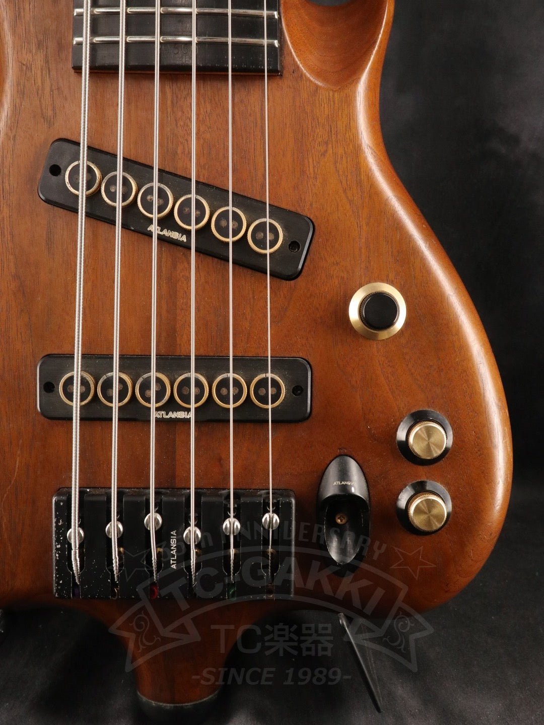 Victoria 6st - TC楽器 - TCGAKKI