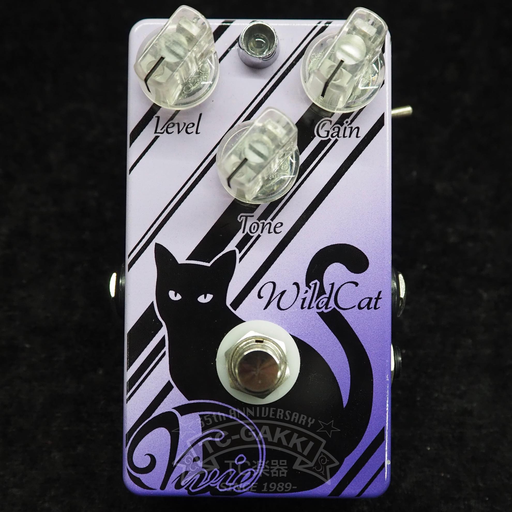 ギター vivie callion vivie-effect CALLION - TC楽器 - TCGAKKI