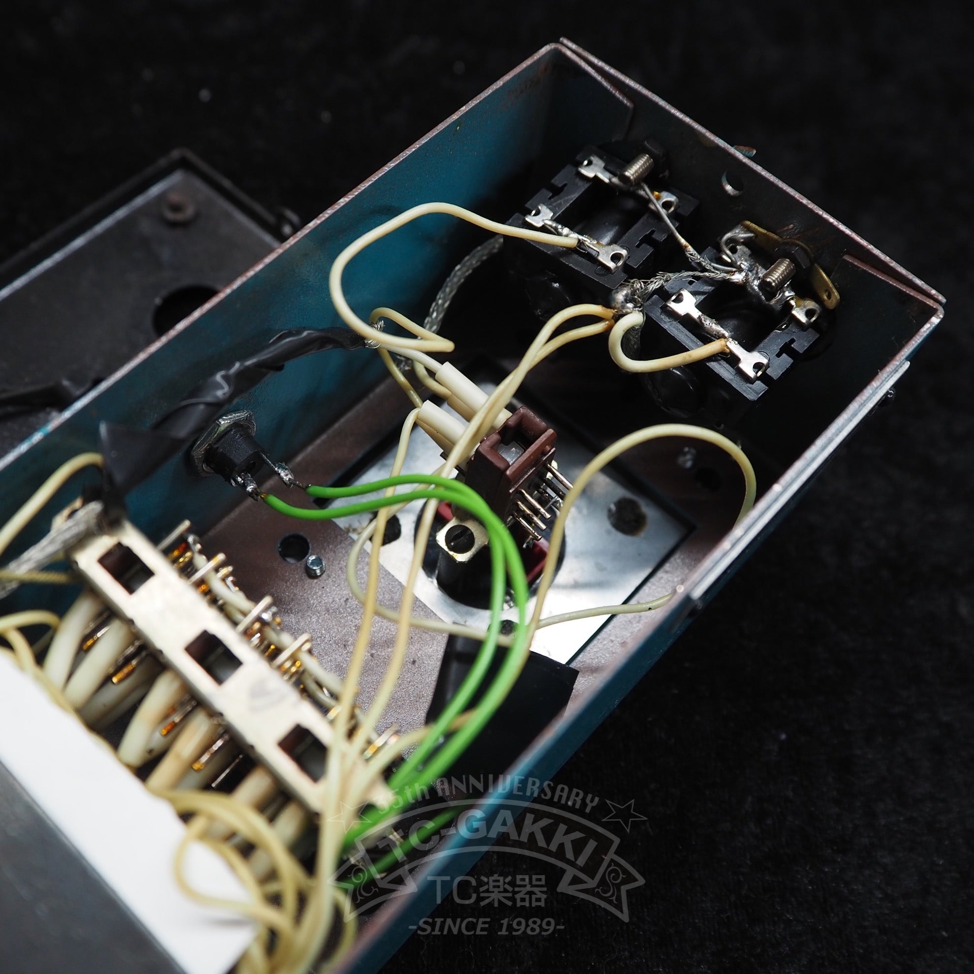 Volna Auto - Wah/Vibrato/Tremolo - TC楽器 - TCGAKKI