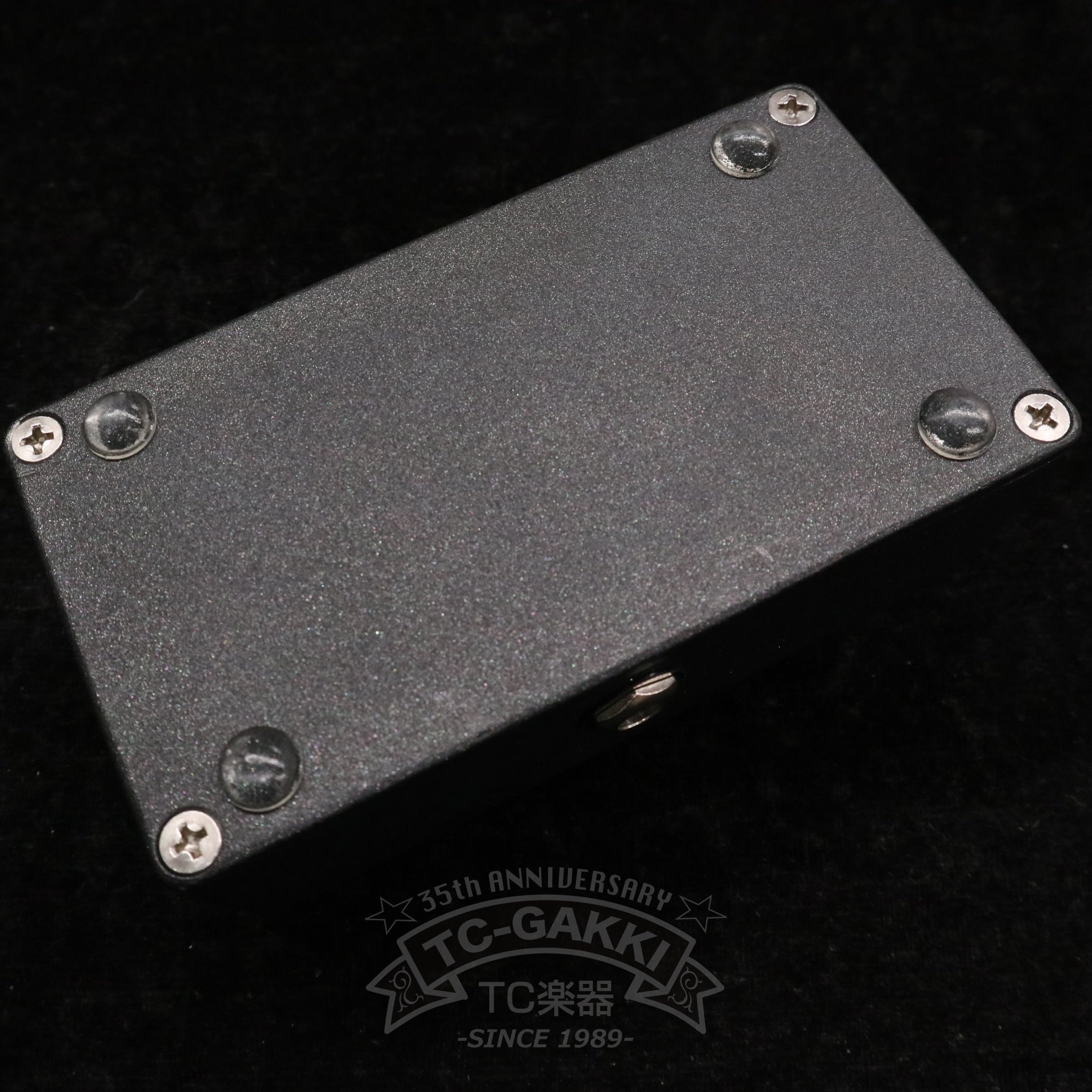 WALRUS AUDIO VOYAGER “Black Friday Frosted Charcoal Limited Edition” - TC楽器 - TCGAKKI