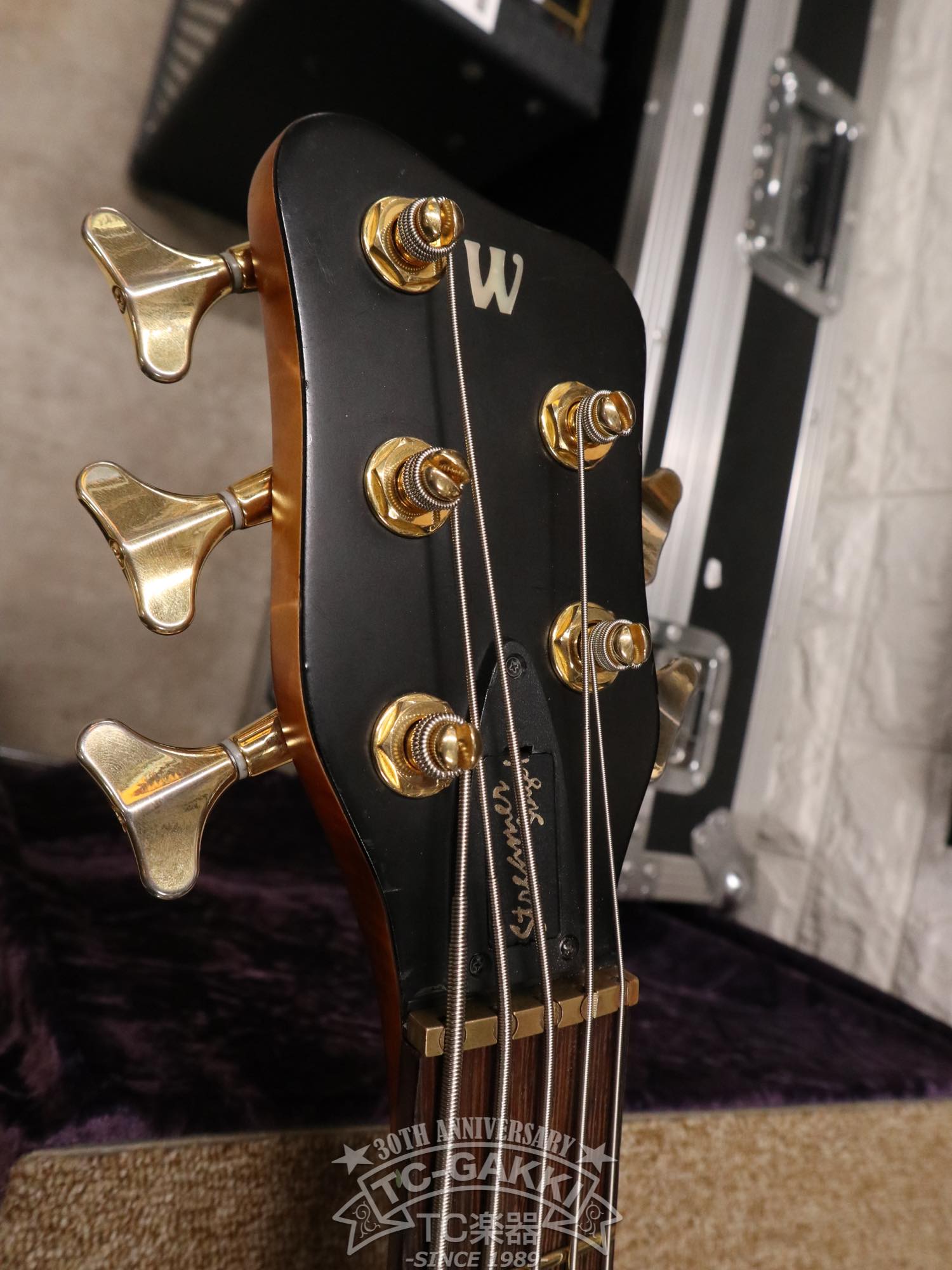 Warwick 2003 Streamer Stage 1 5st - TC楽器 - TCGAKKI