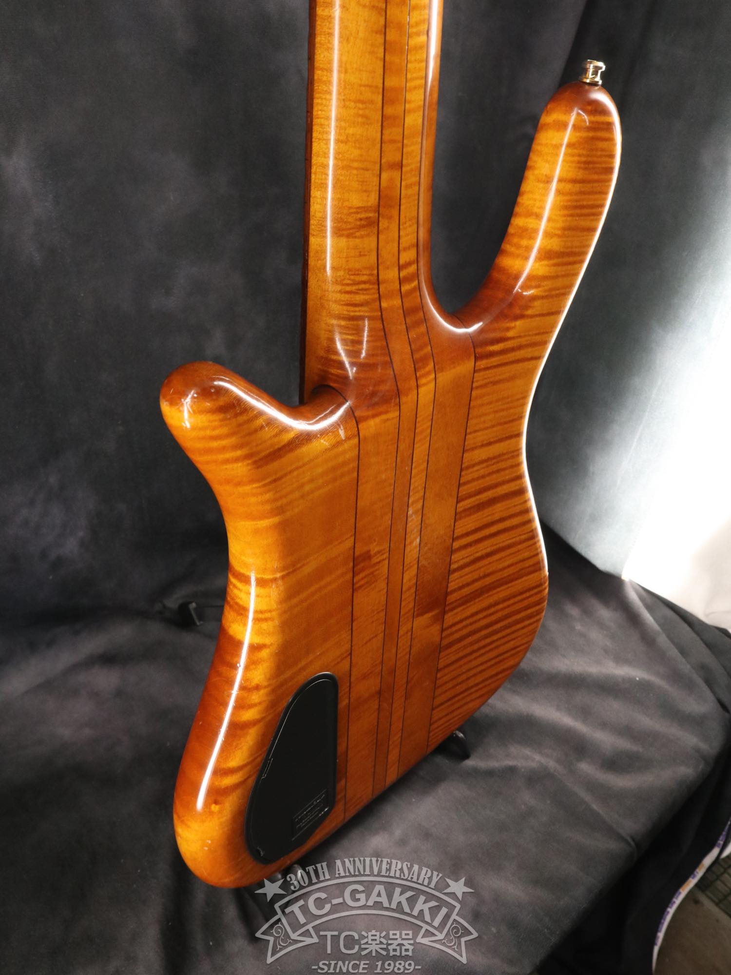 Warwick 2003 Streamer Stage 1 5st - TC楽器 - TCGAKKI