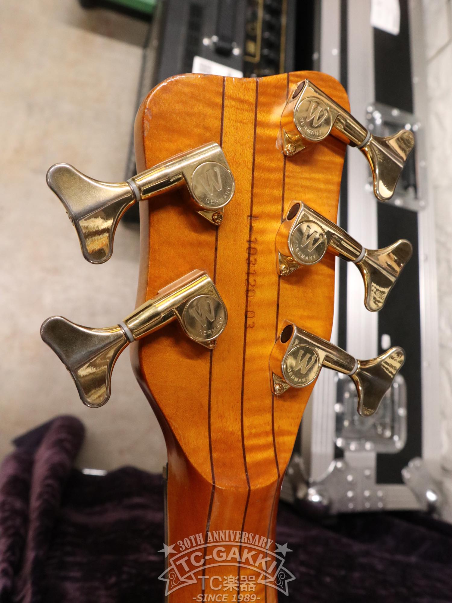 Warwick 2003 Streamer Stage 1 5st - TC楽器 - TCGAKKI
