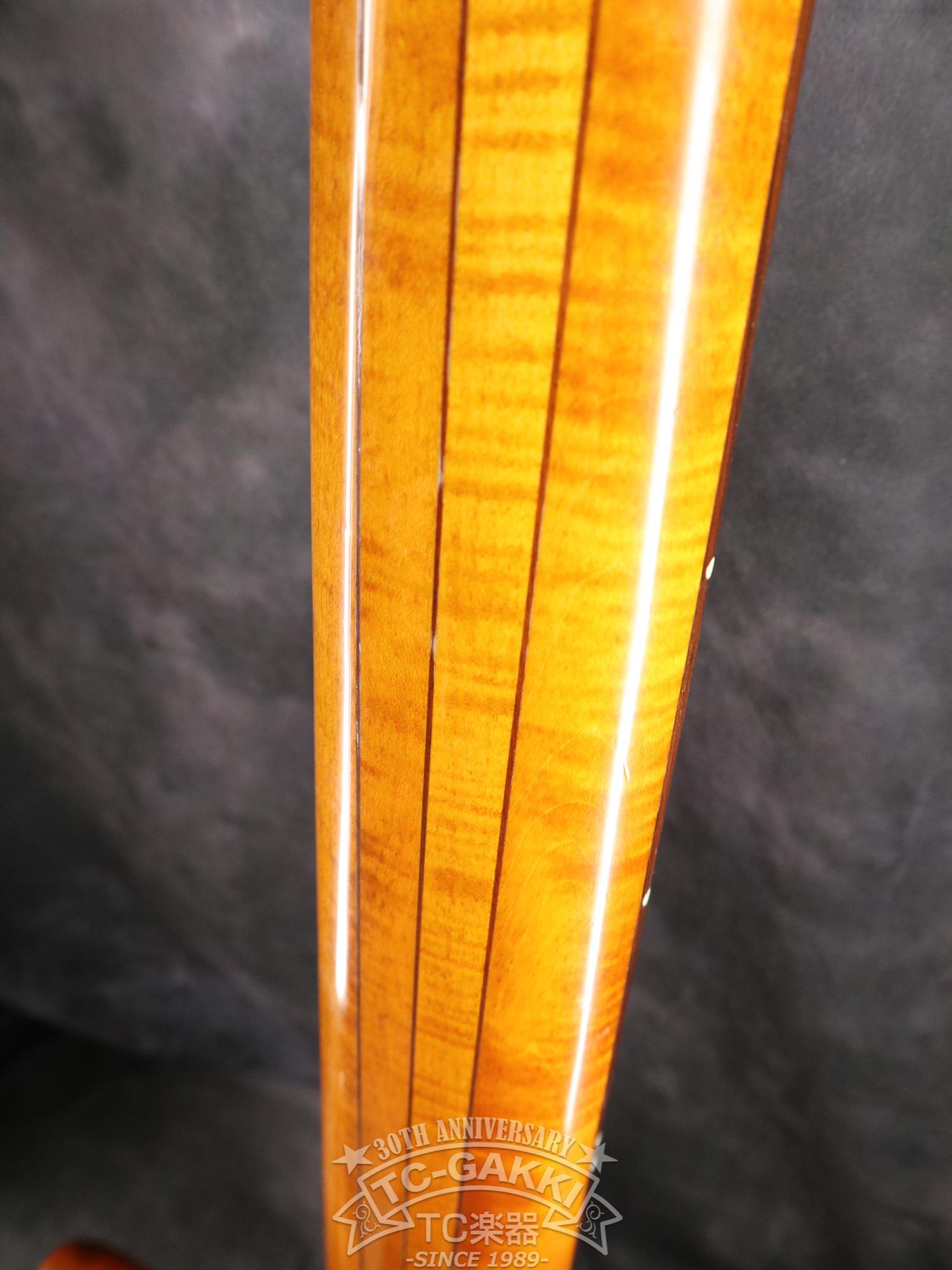Warwick 2003 Streamer Stage 1 5st - TC楽器 - TCGAKKI