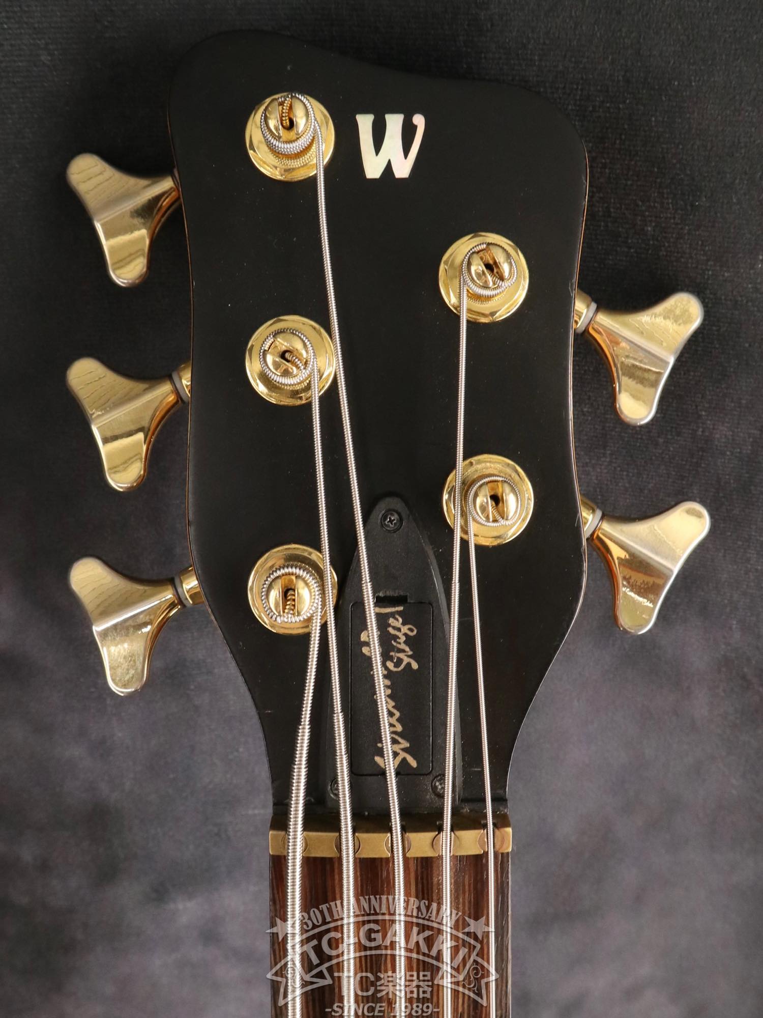 Warwick 2003 Streamer Stage 1 5st - TC楽器 - TCGAKKI